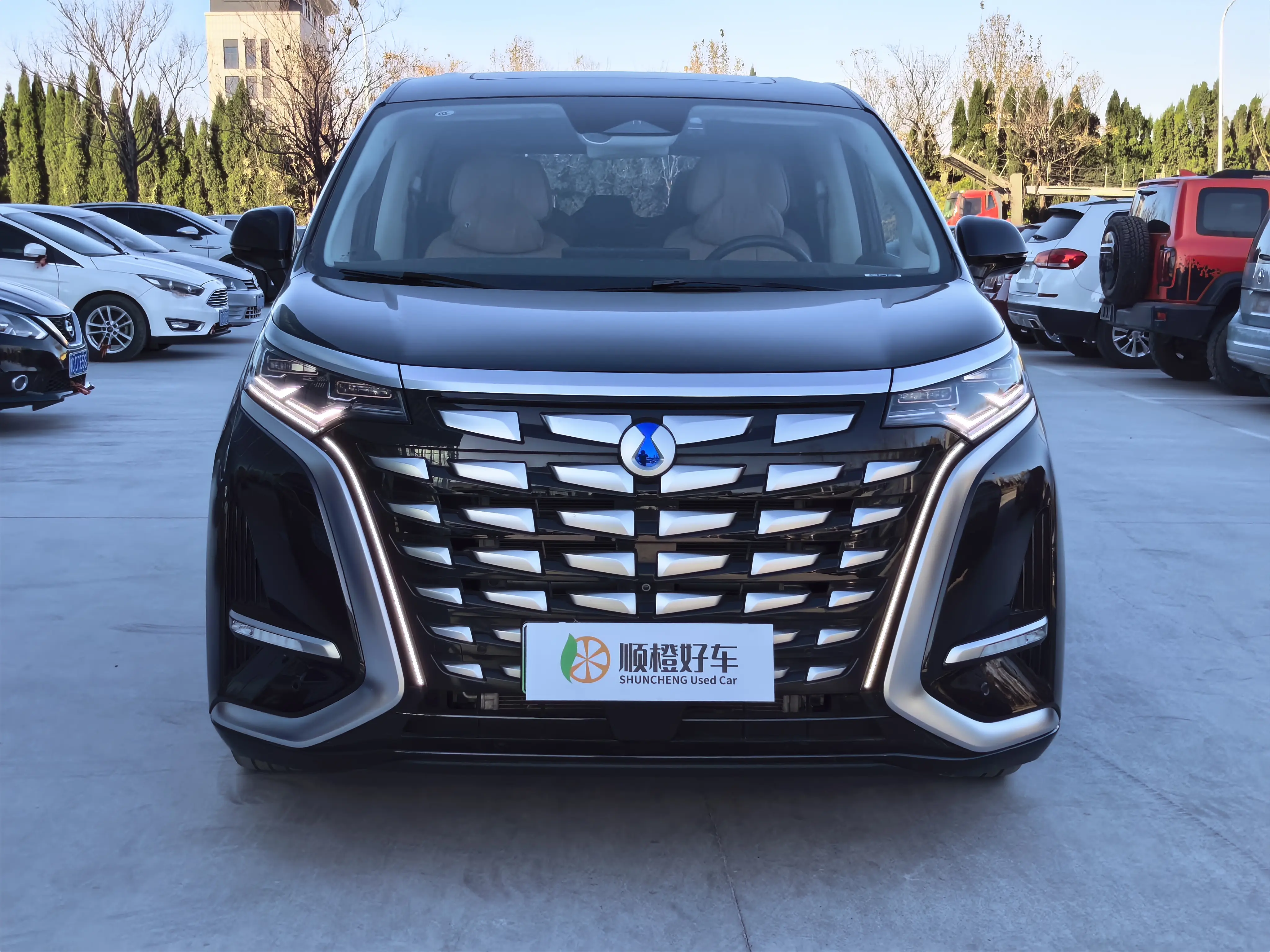 Denza D9 DM  из Китая