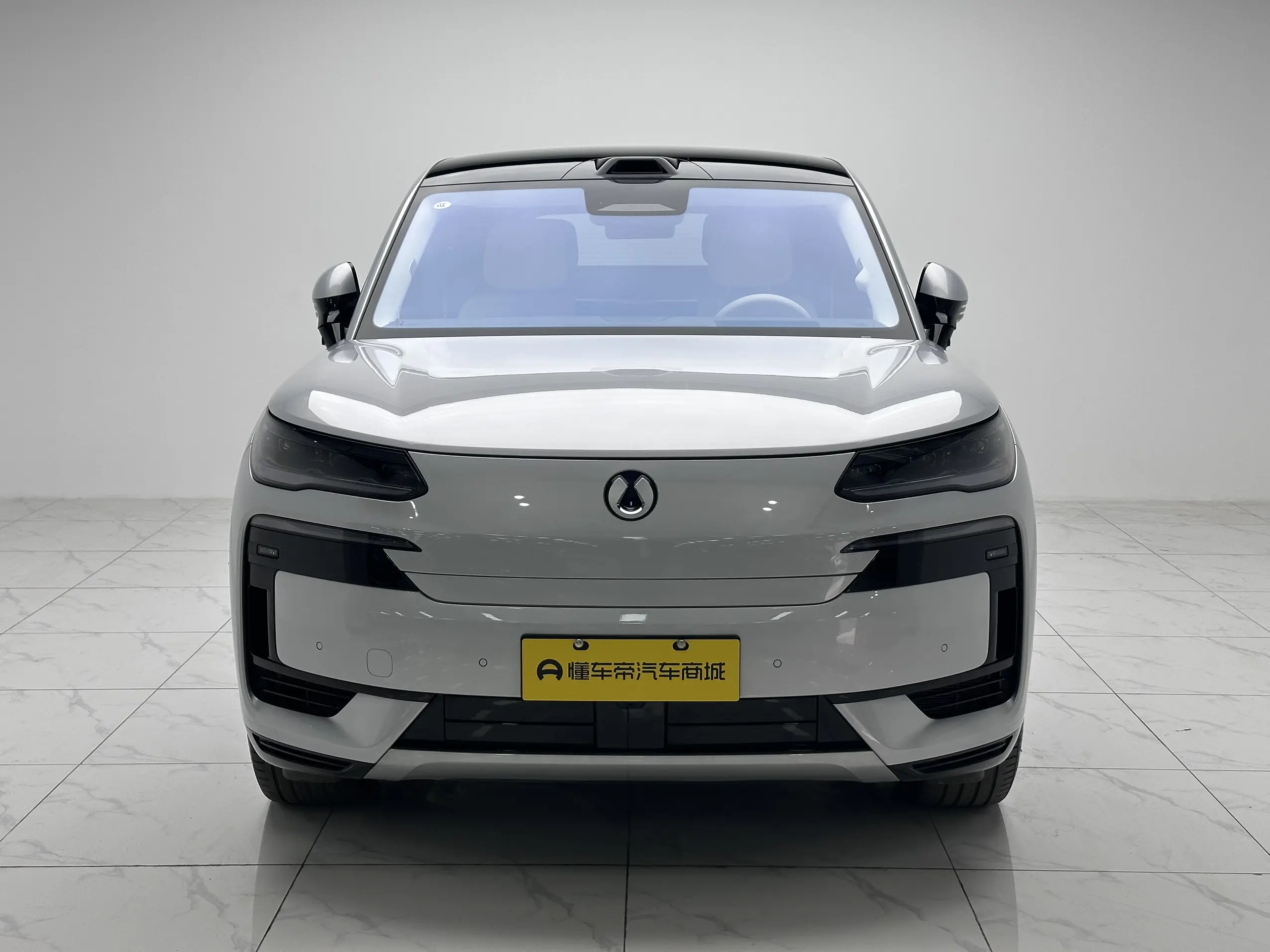 Denza Tengzhong N9 DM  из Китая