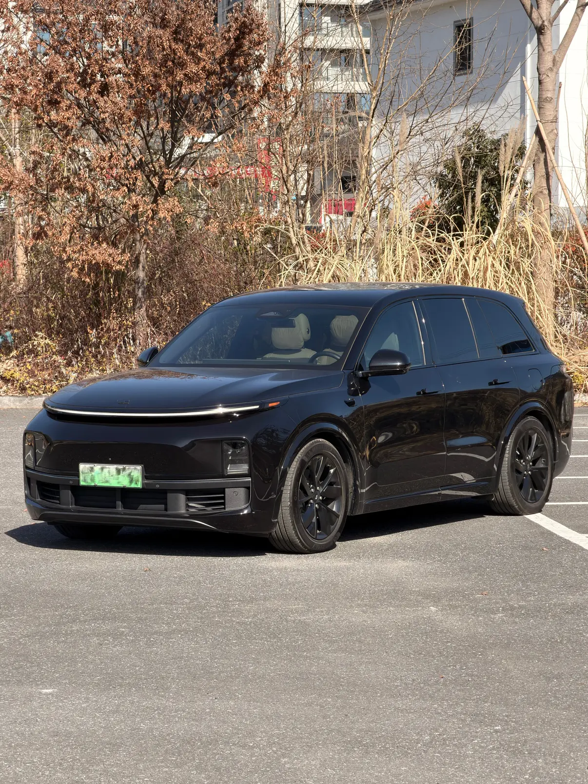 Li L8 (Ideal L8)  из Китая