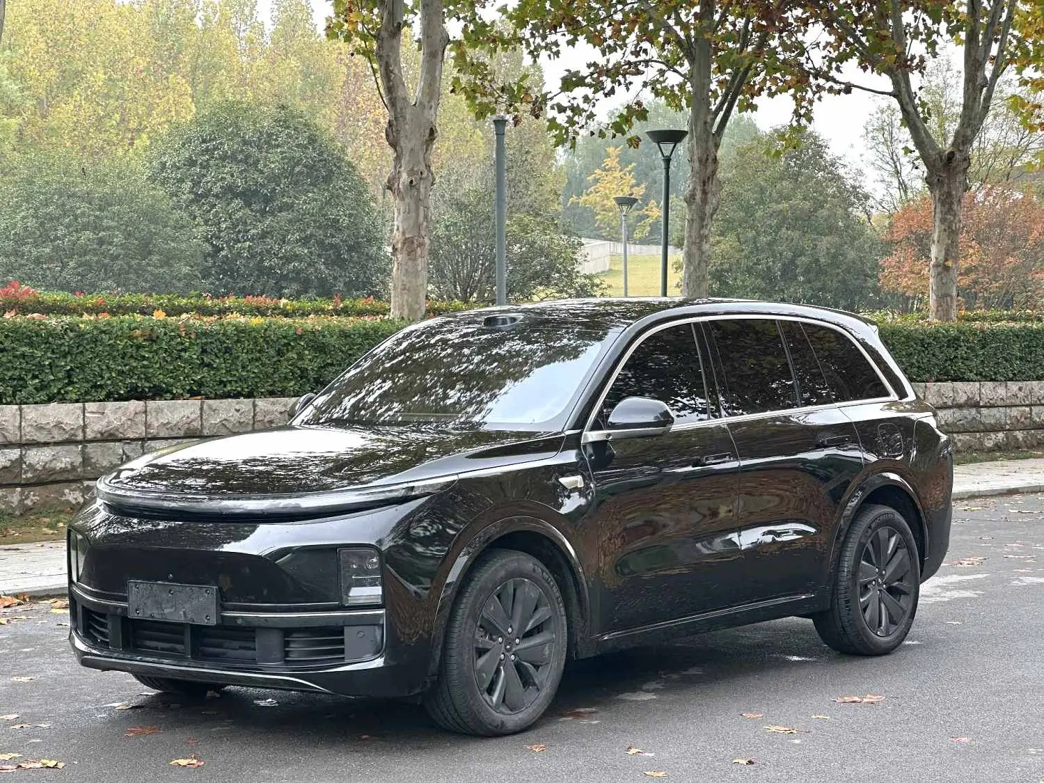 Li L8 (Ideal L8)  из Китая