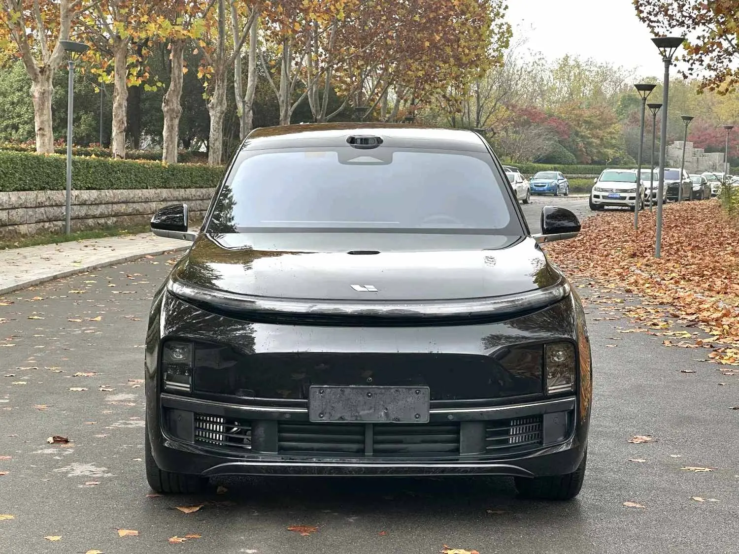 Li L8 (Ideal L8)  из Китая