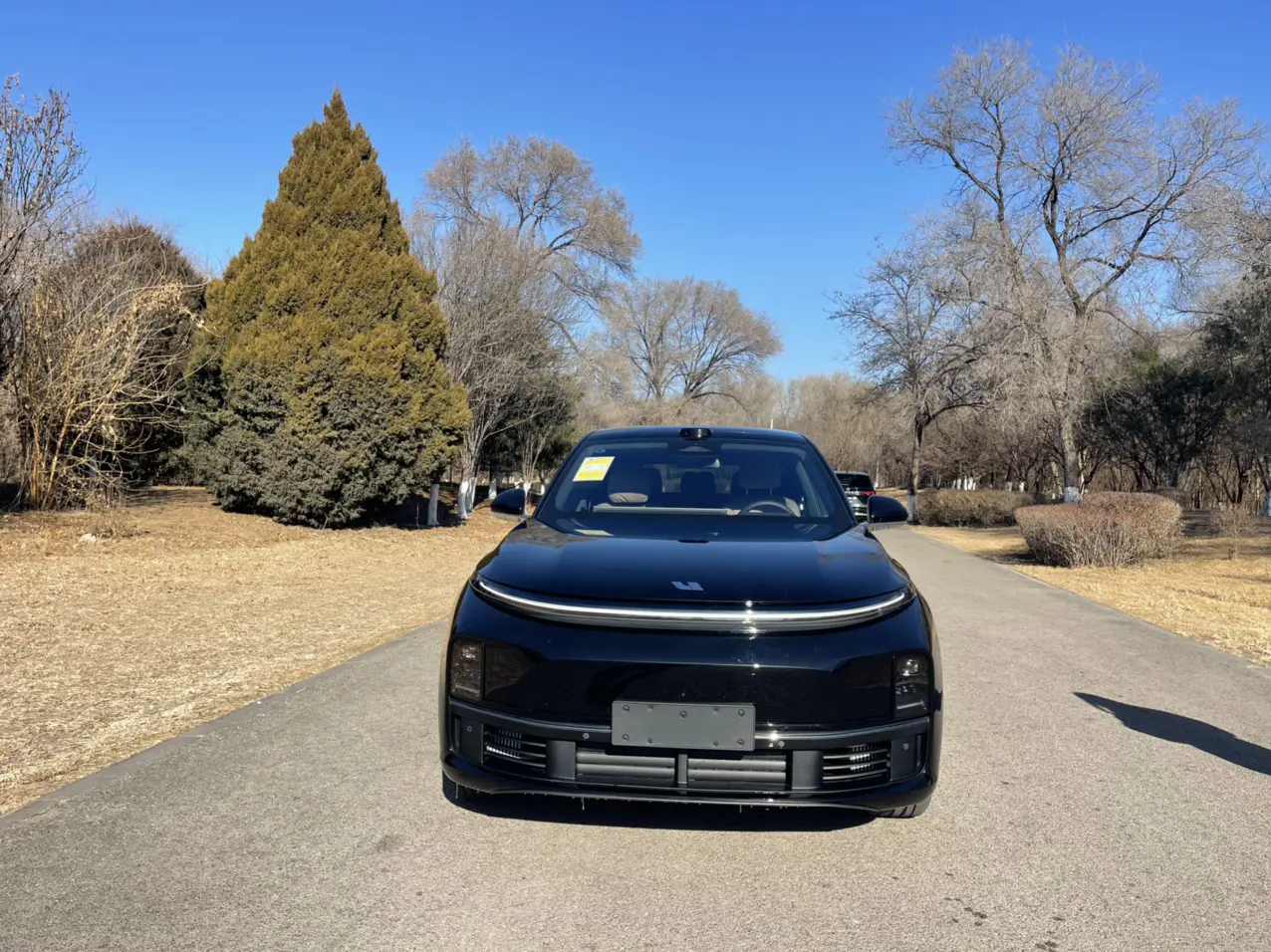 Li L7 (Ideal L7)  из Китая