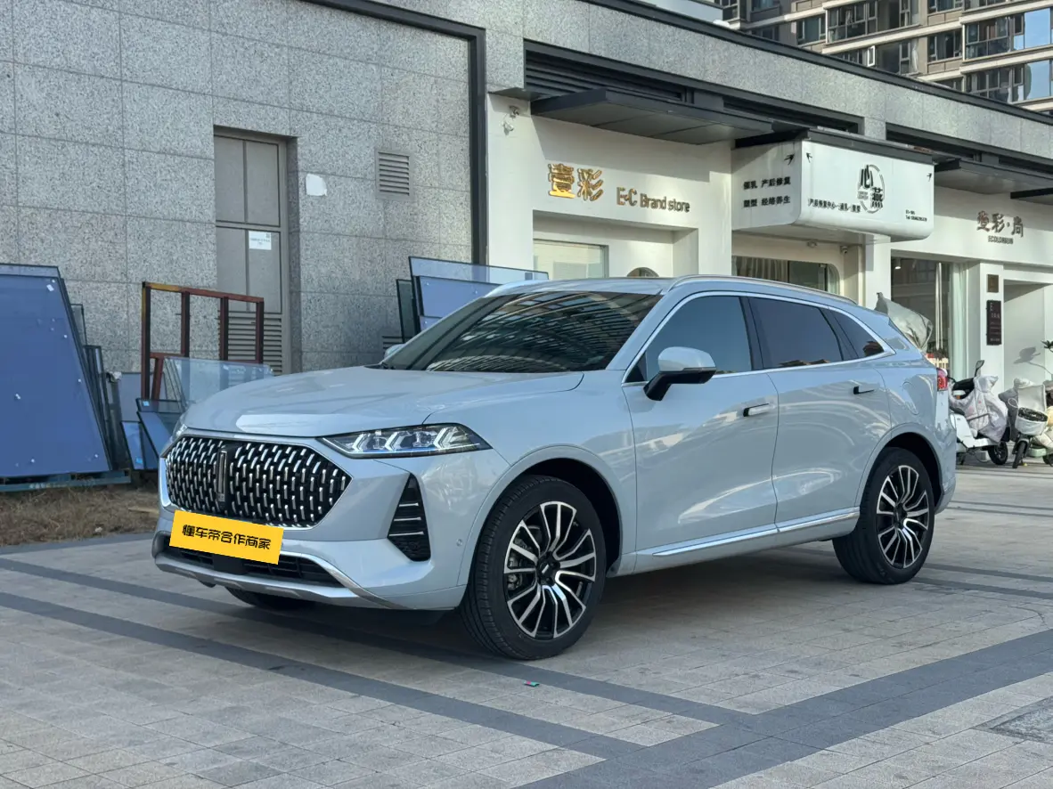 Wey Mocha  из Китая