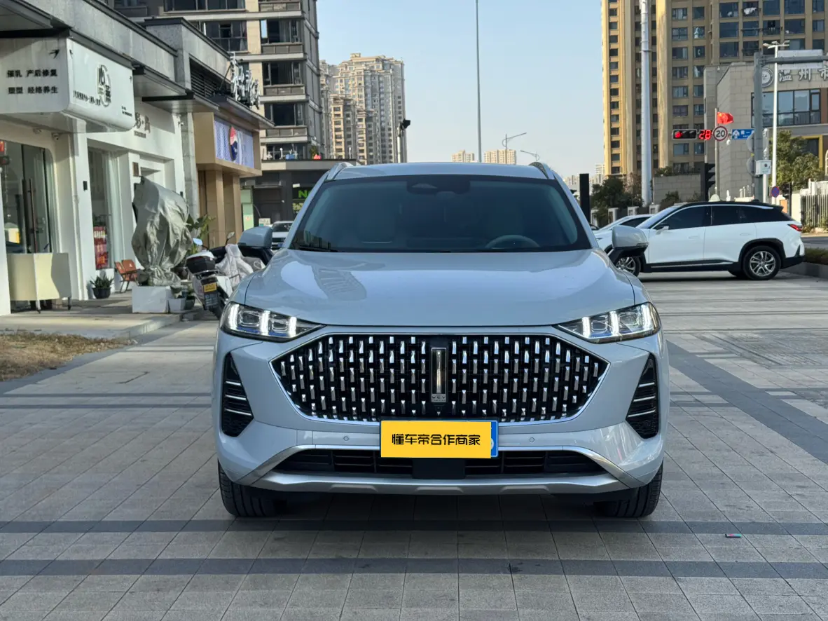 Wey Mocha  из Китая