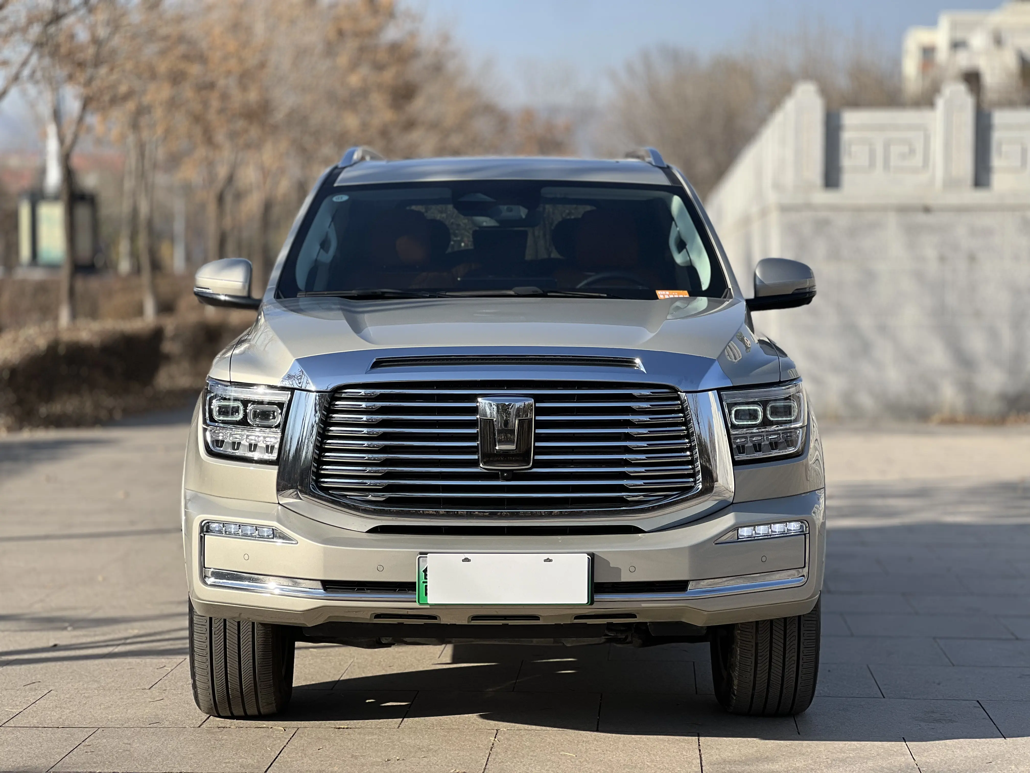 Tank 500 Hi4-T  из Китая