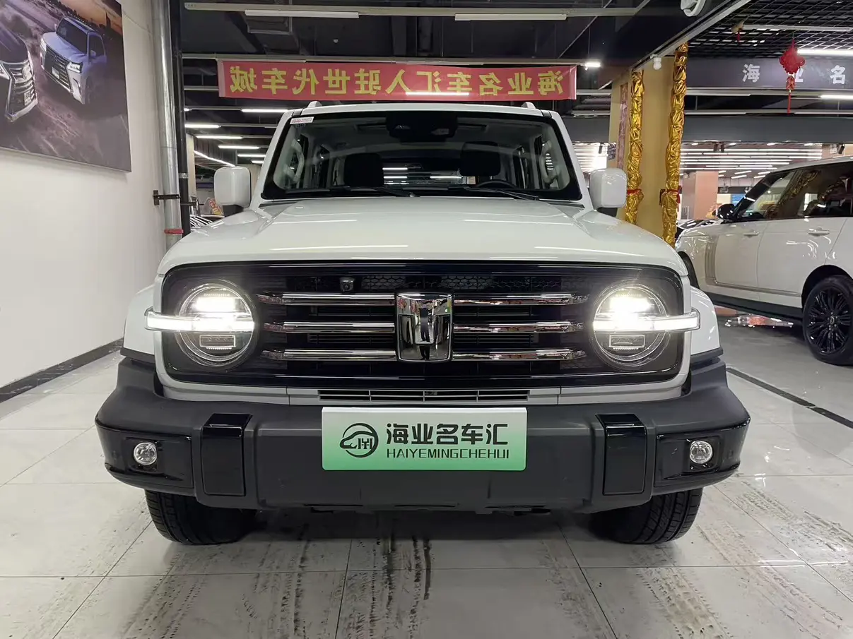 Tank 300 Hi4-T  из Китая