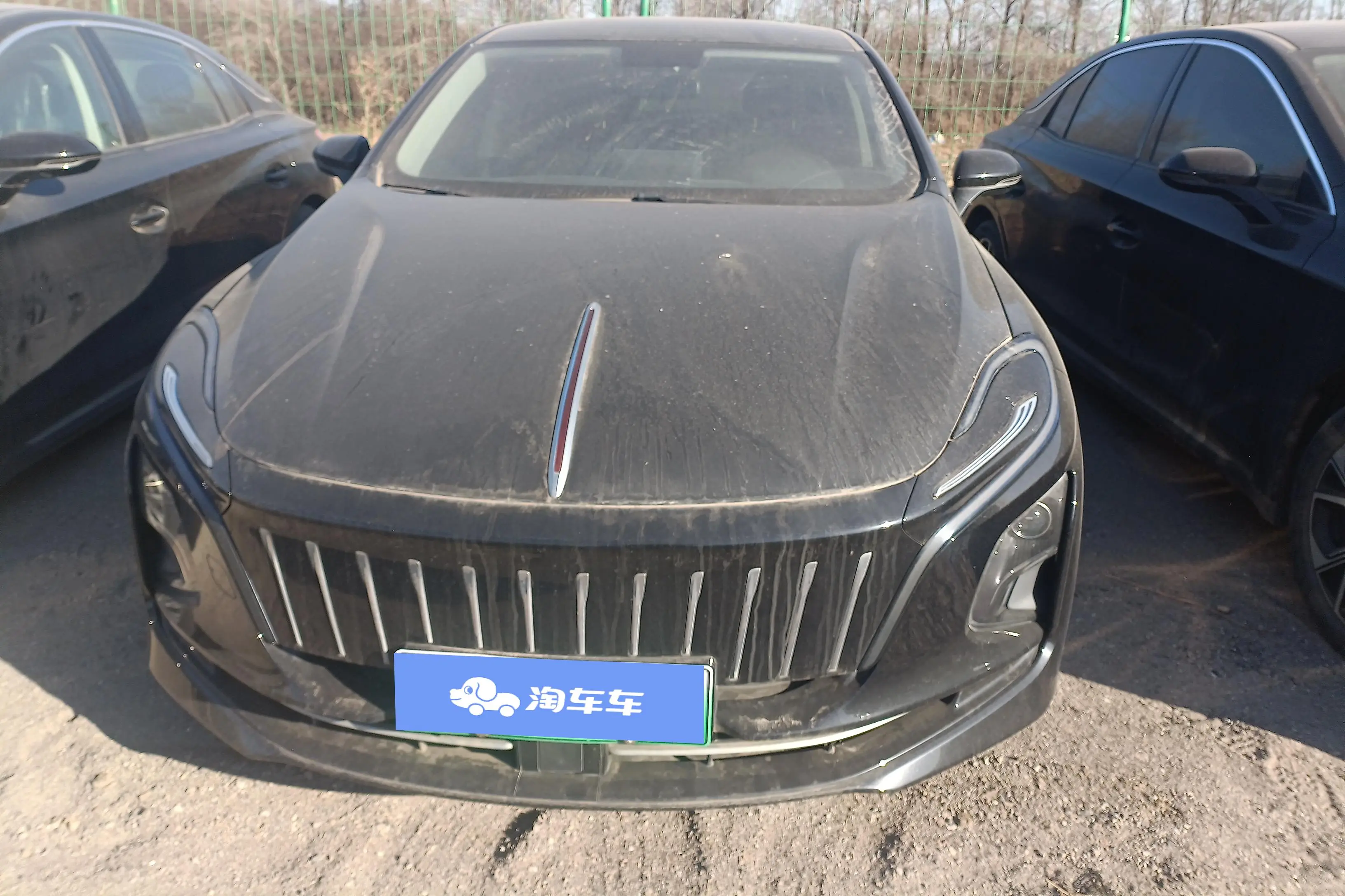 Hongqi E-QM5  из Китая