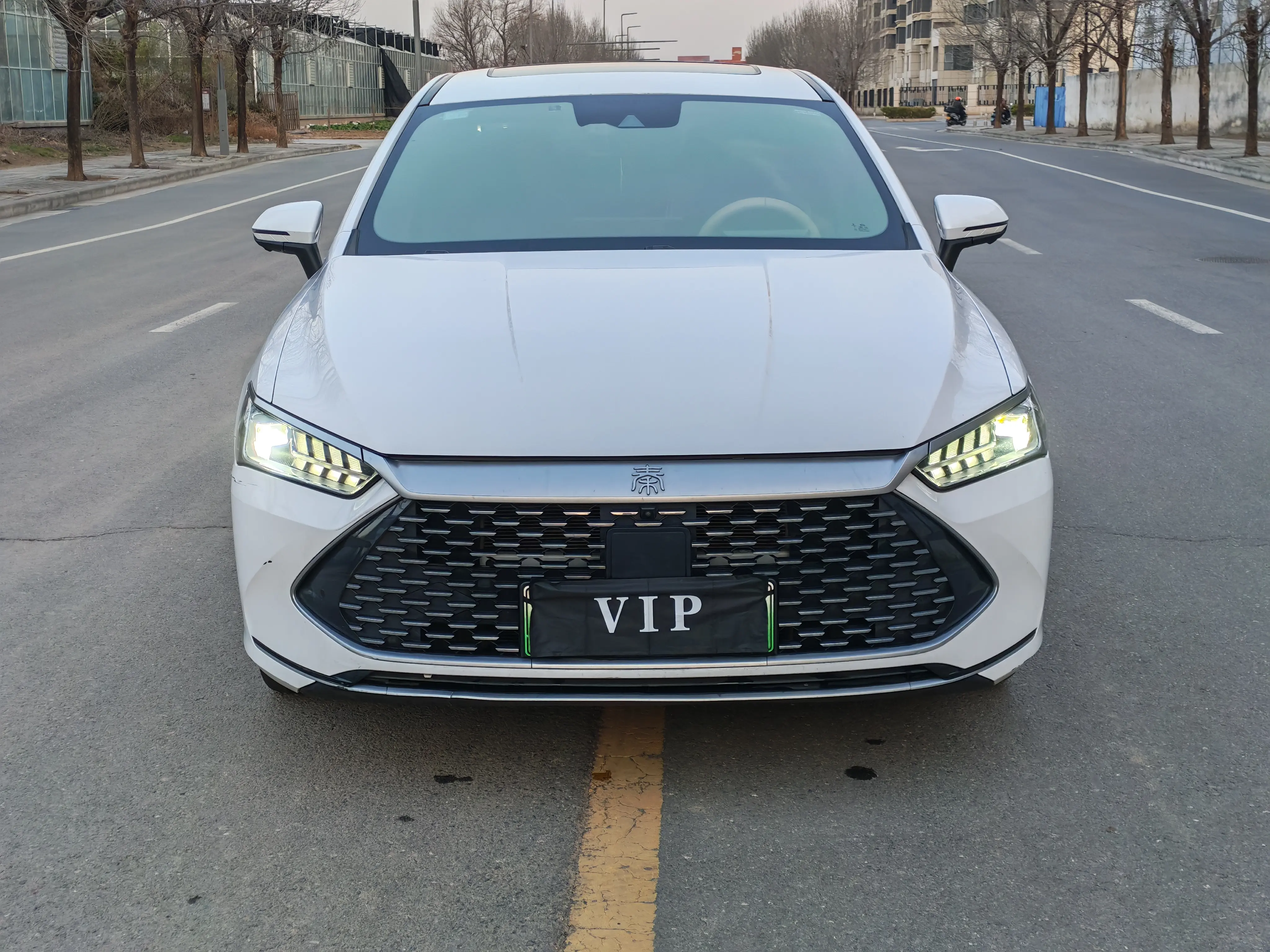 BYD Qin PLUS DM  из Китая