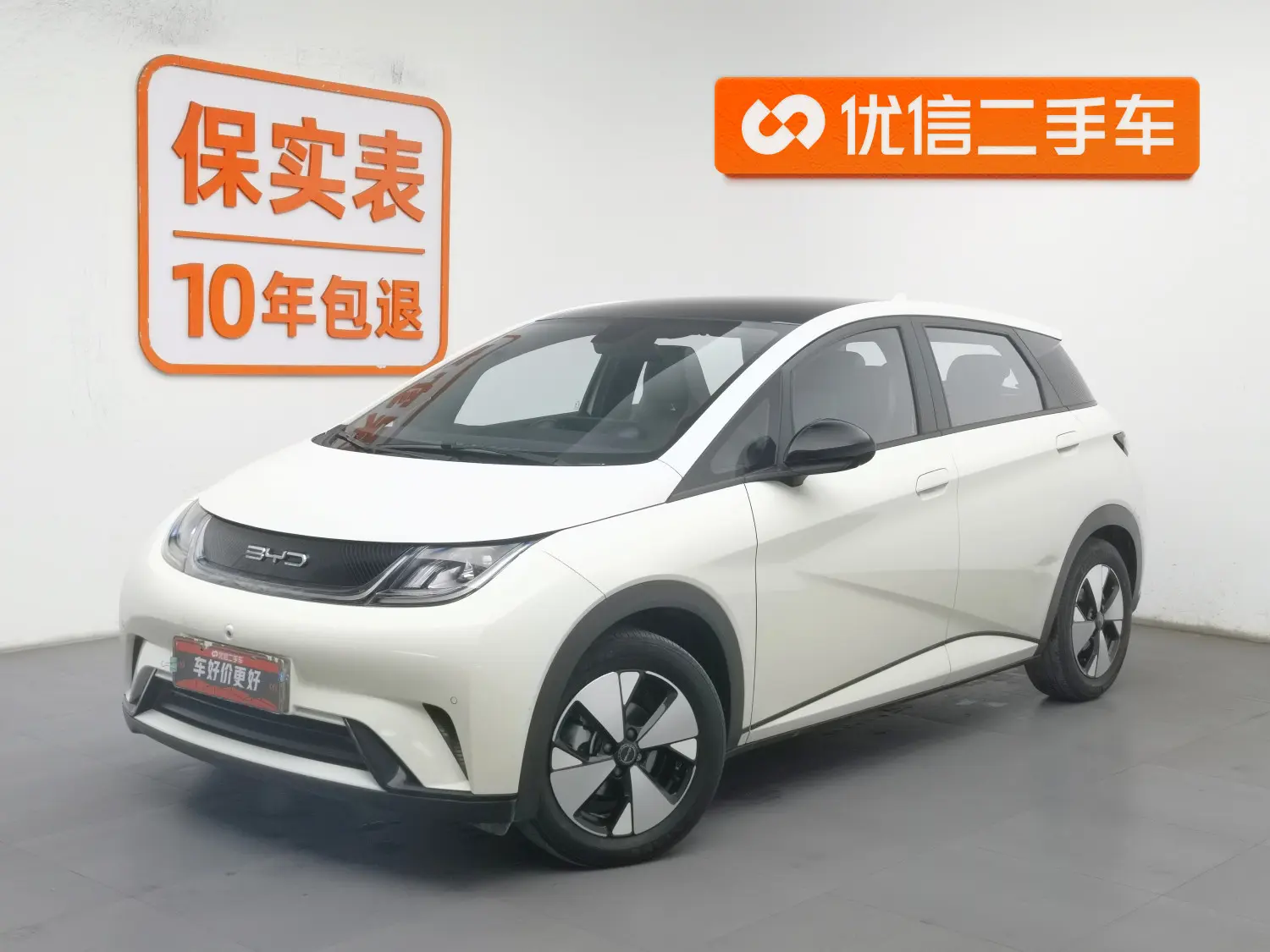 BYD Dolphin  из Китая