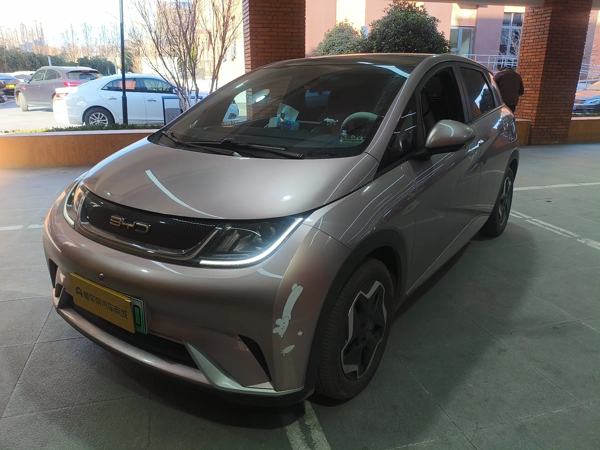 BYD Dolphin  из Китая