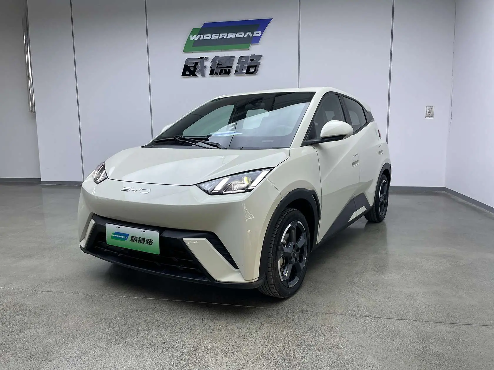 BYD Seagull  из Китая