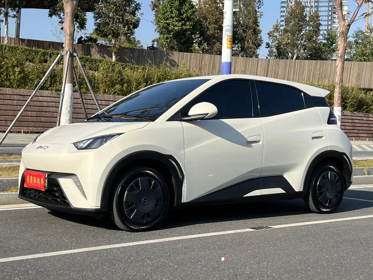 BYD Seagull  из Китая