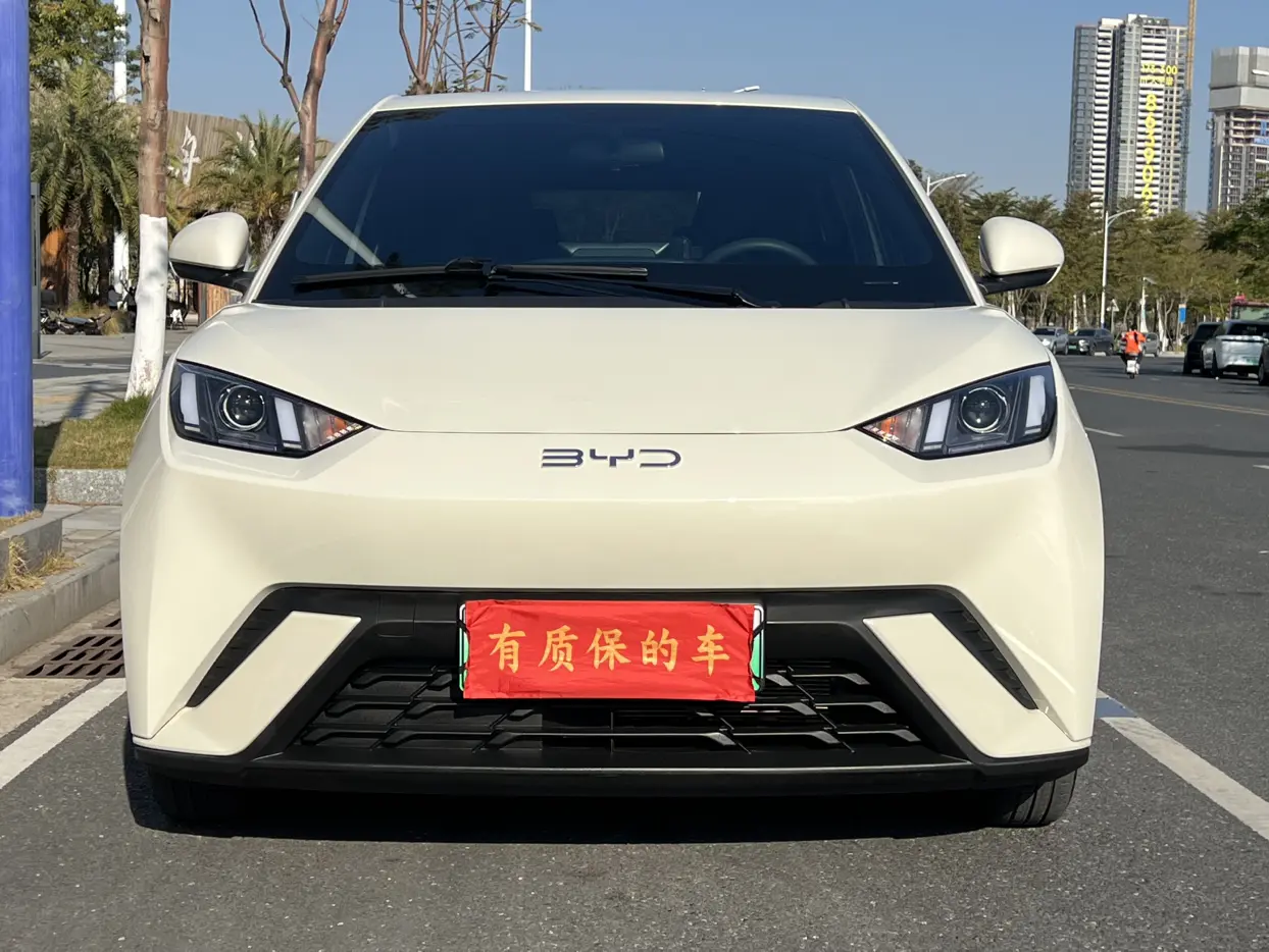 BYD Seagull  из Китая