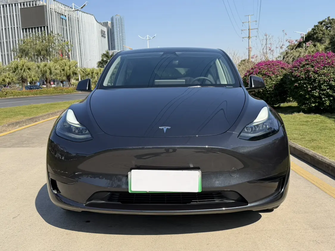 Tesla Model Y  из Китая