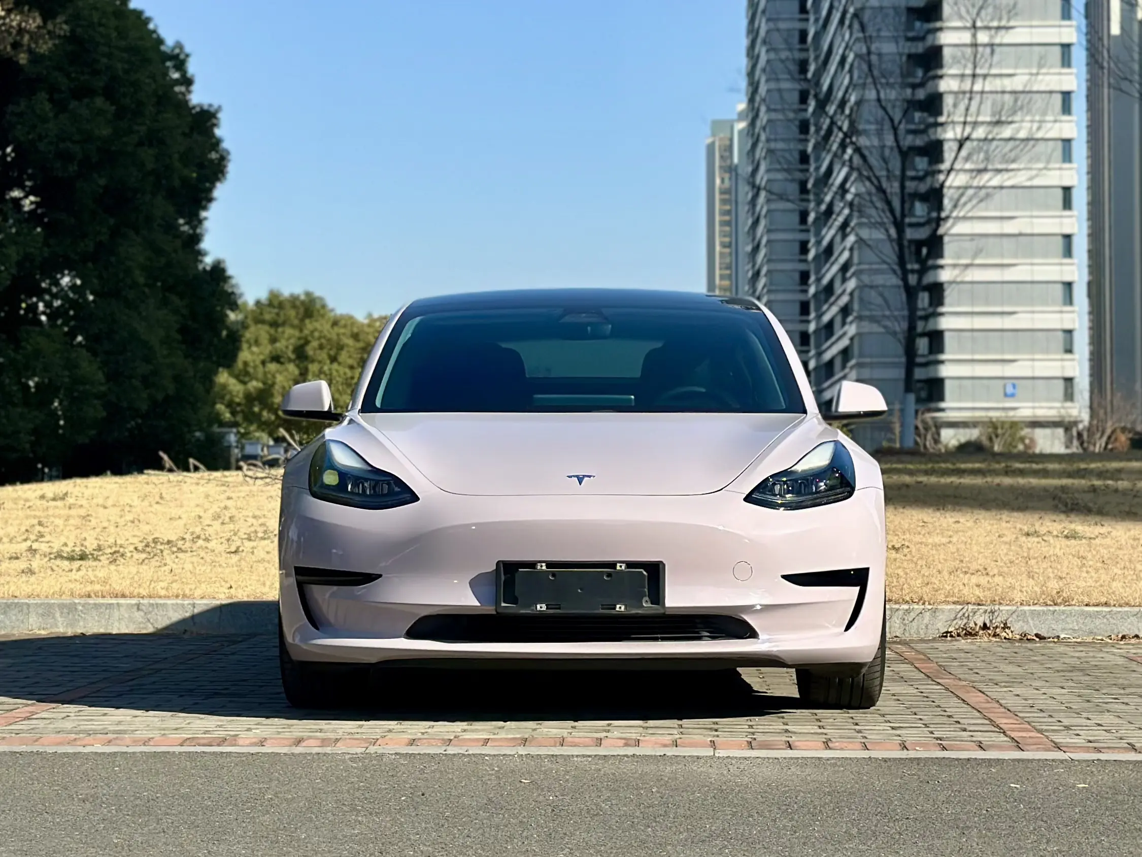 Tesla Model 3  из Китая