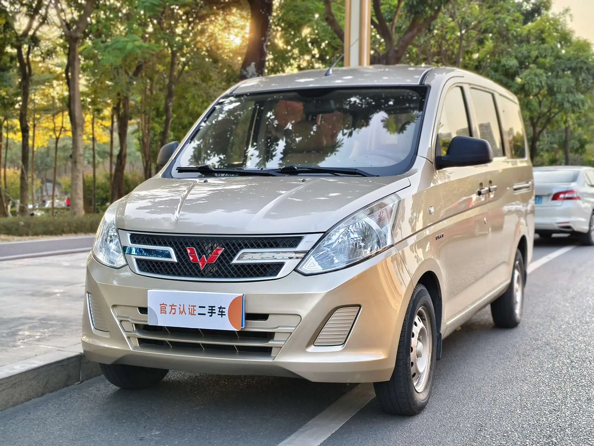 Wuling Rongguang V  из Китая