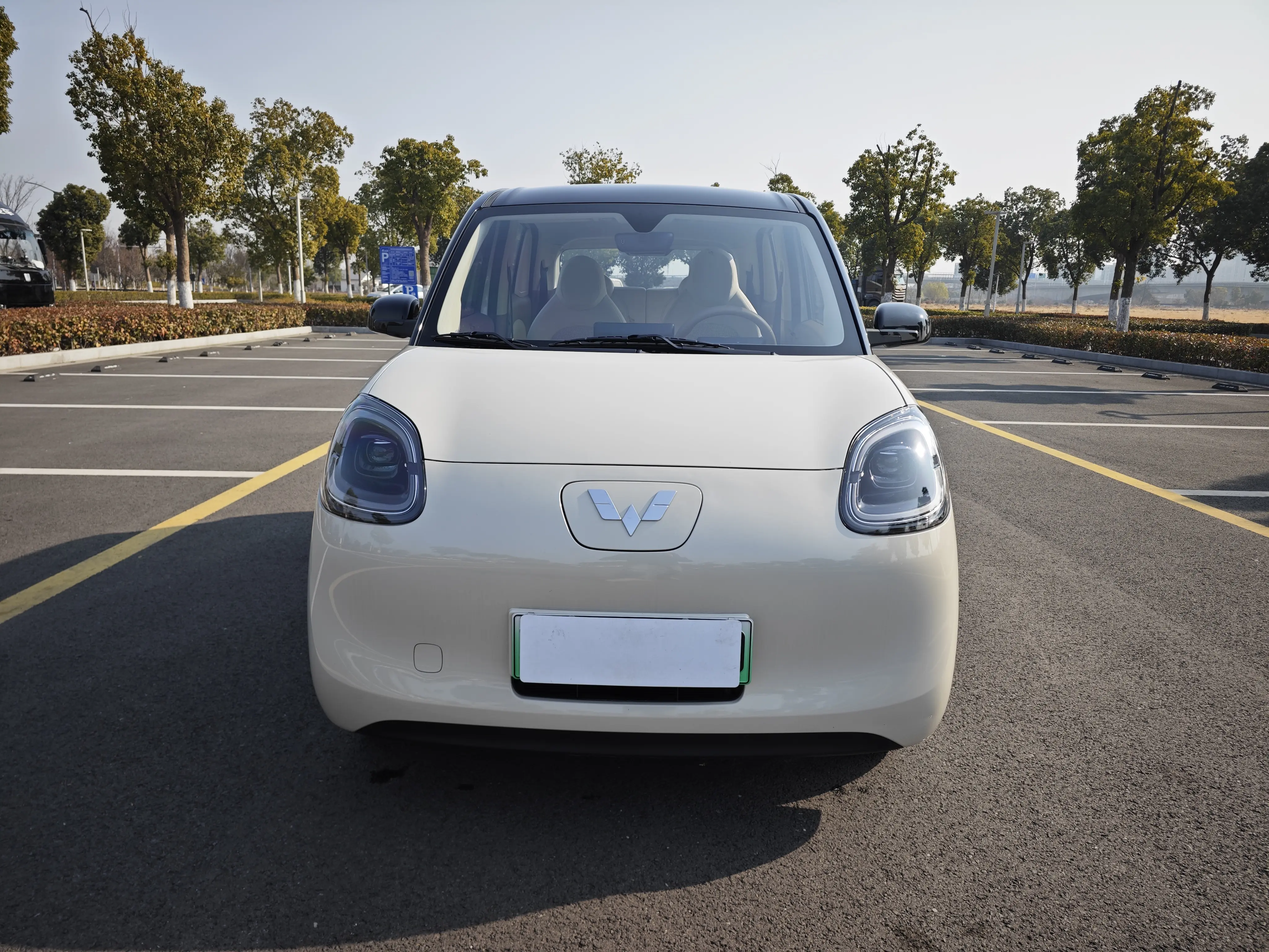 Wuling Hongguang MINIEV  из Китая