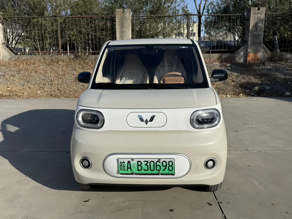 Wuling Hongguang MINIEV  из Китая