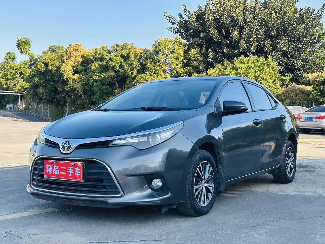 Toyota Levin (Lei Ling)  из Китая