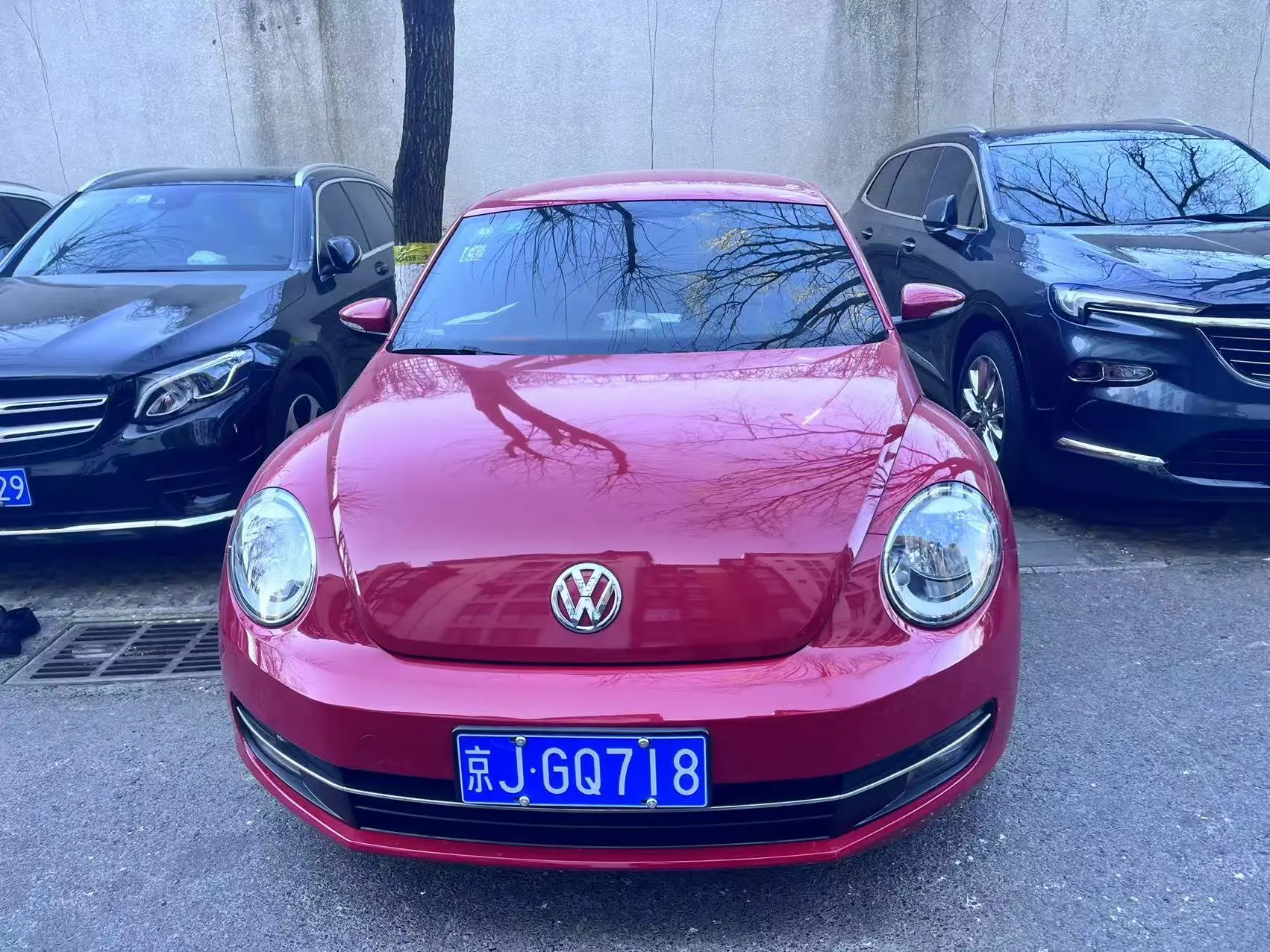 Volkswagen Beetle  из Китая