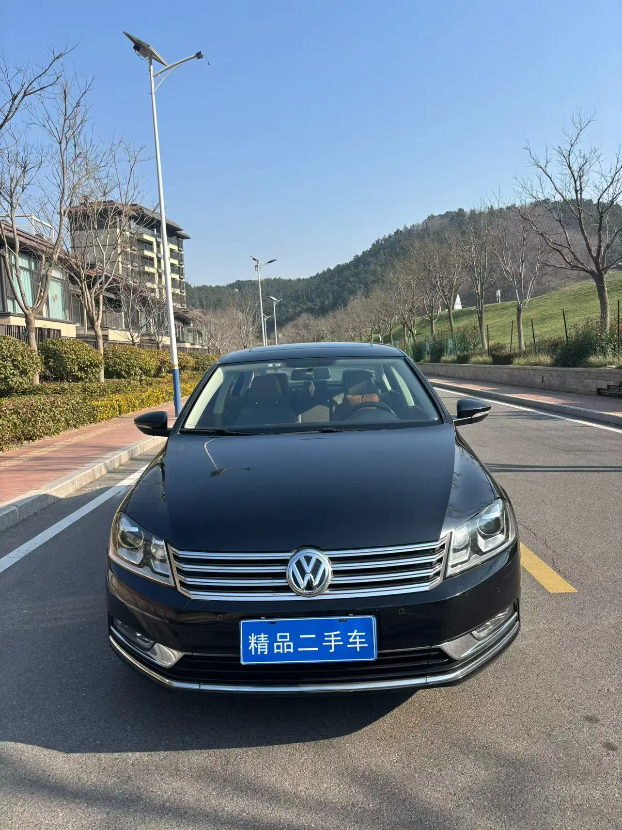 Volkswagen Magotan  из Китая