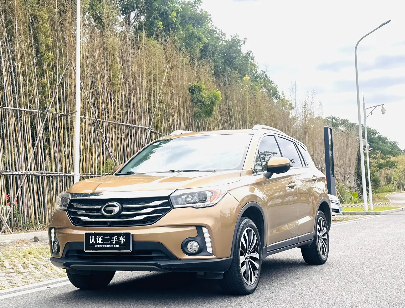 GAC Trumpchi GS4  из Китая