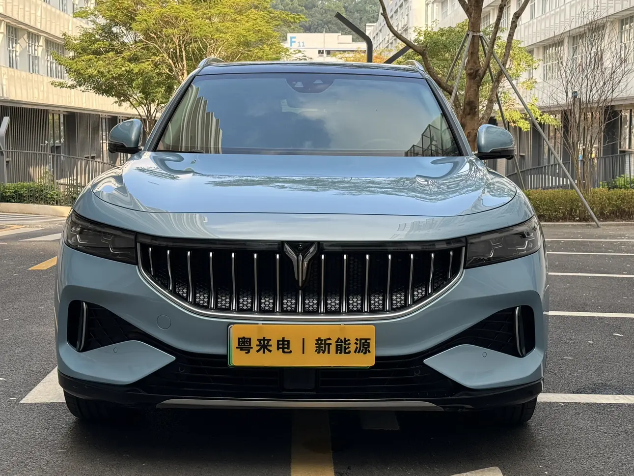 Voyah Lantu FREE  из Китая