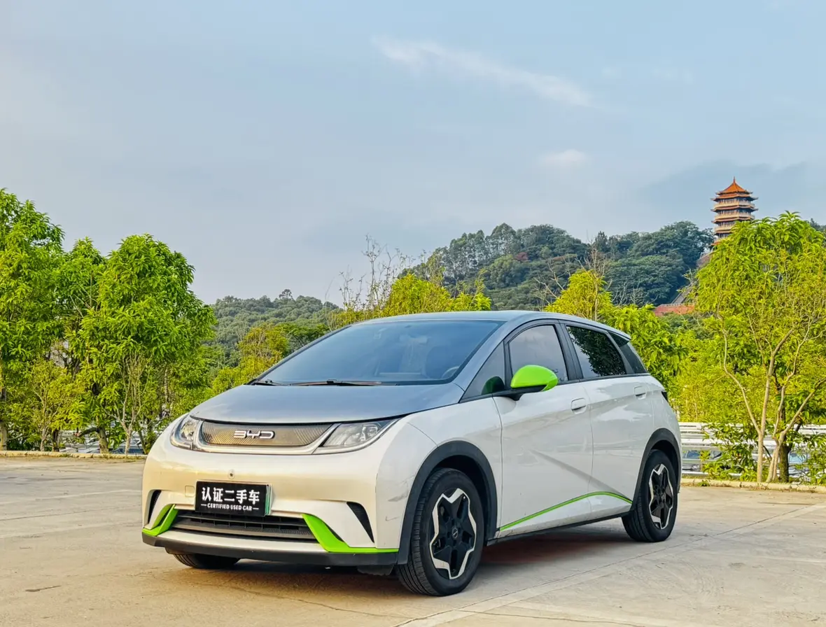 BYD Dolphin  из Китая