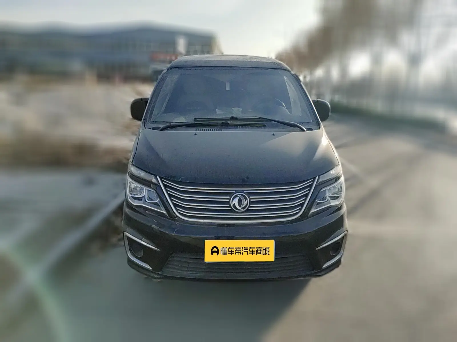 Forthing Lingzhi  из Китая