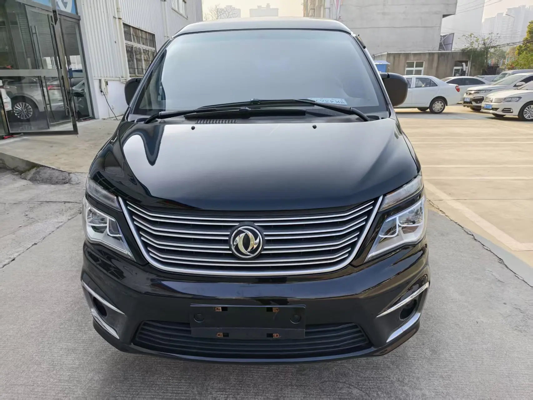 Forthing Lingzhi  из Китая