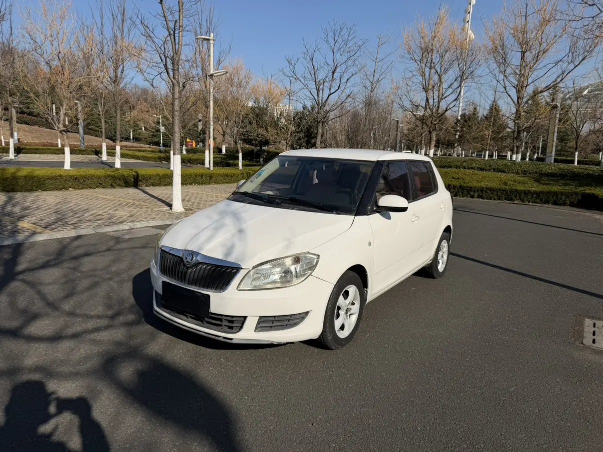 Skoda Jing Rui  из Китая