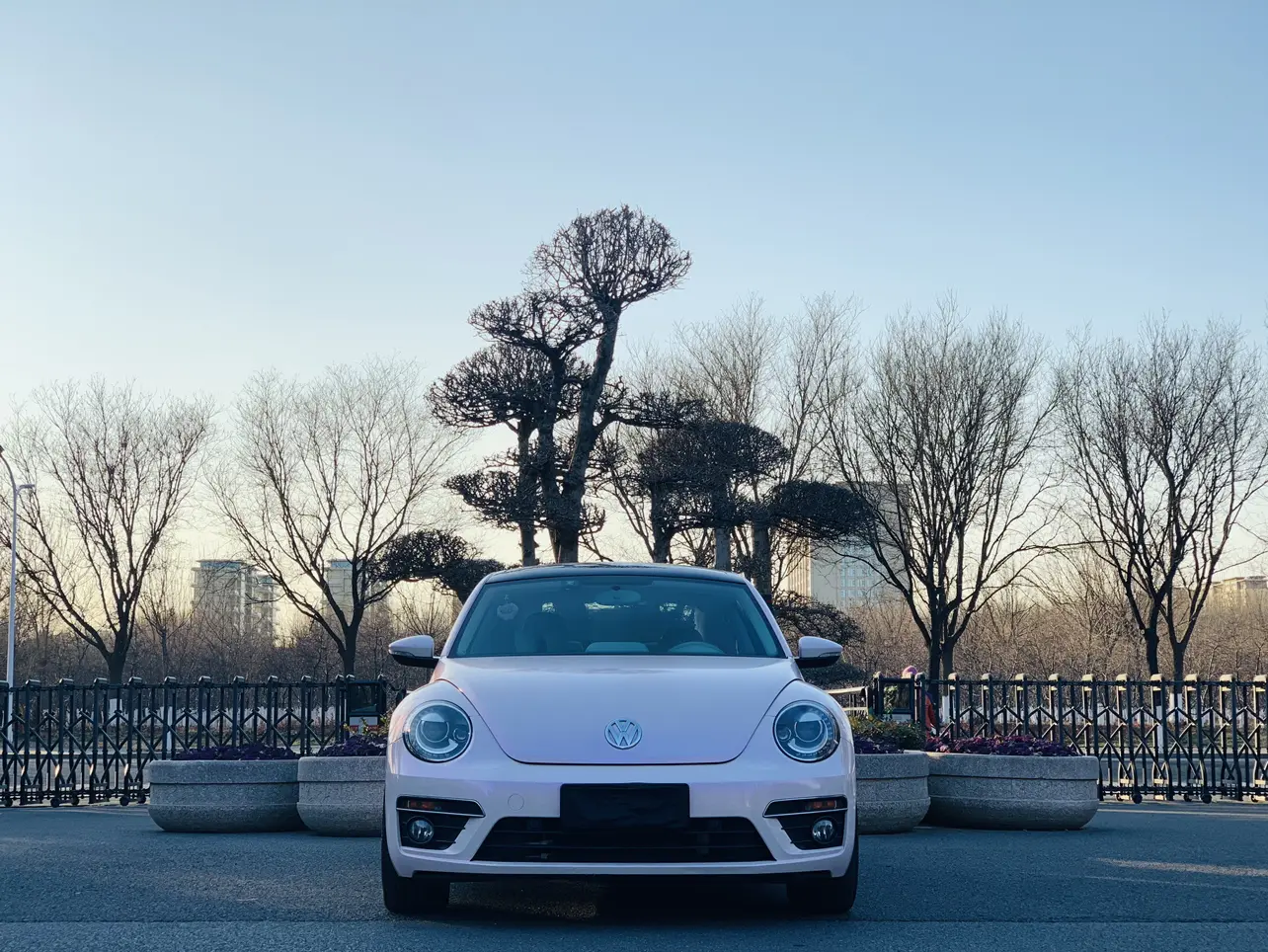 Volkswagen Beetle  из Китая