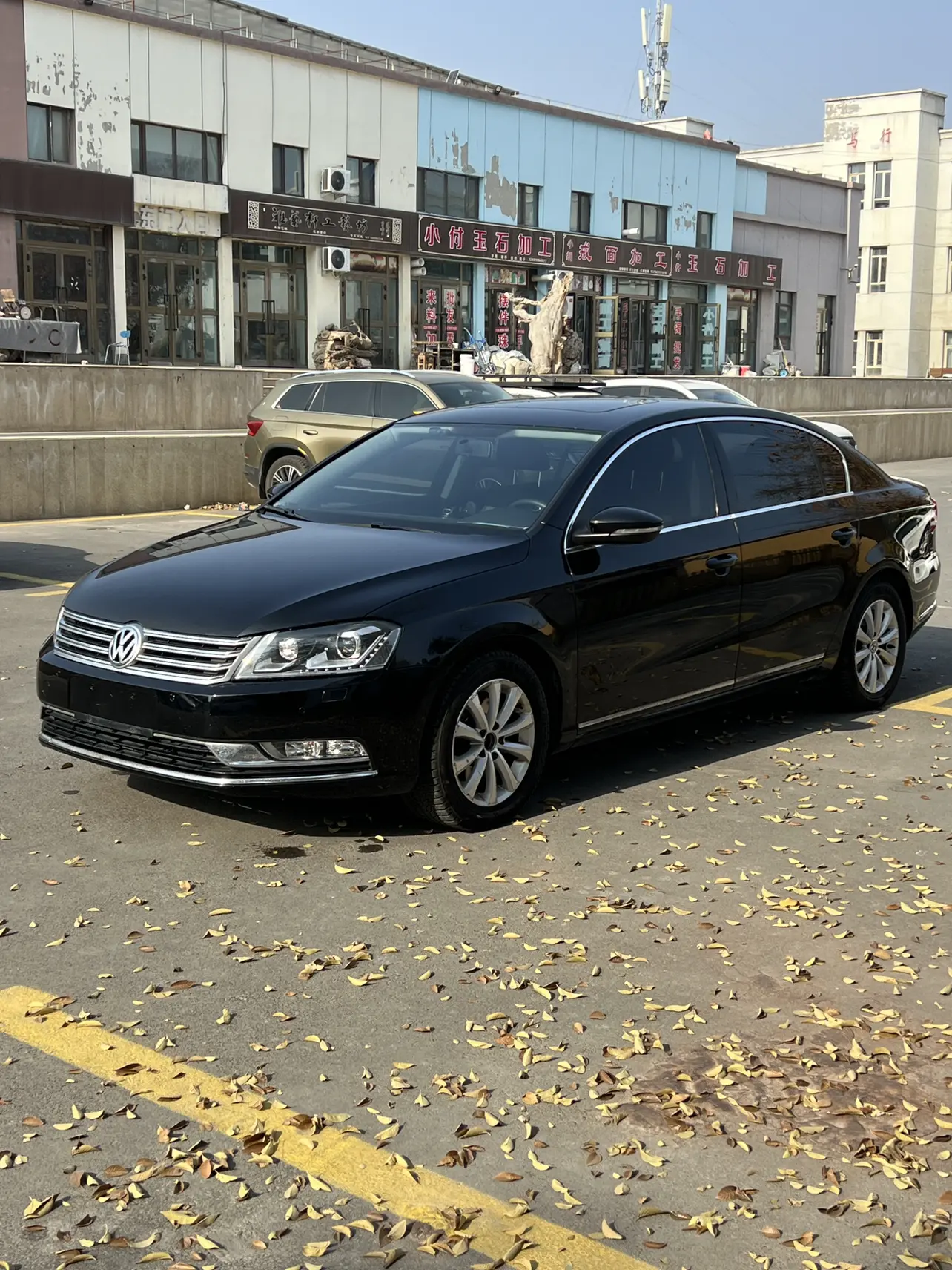 Volkswagen Magotan  из Китая