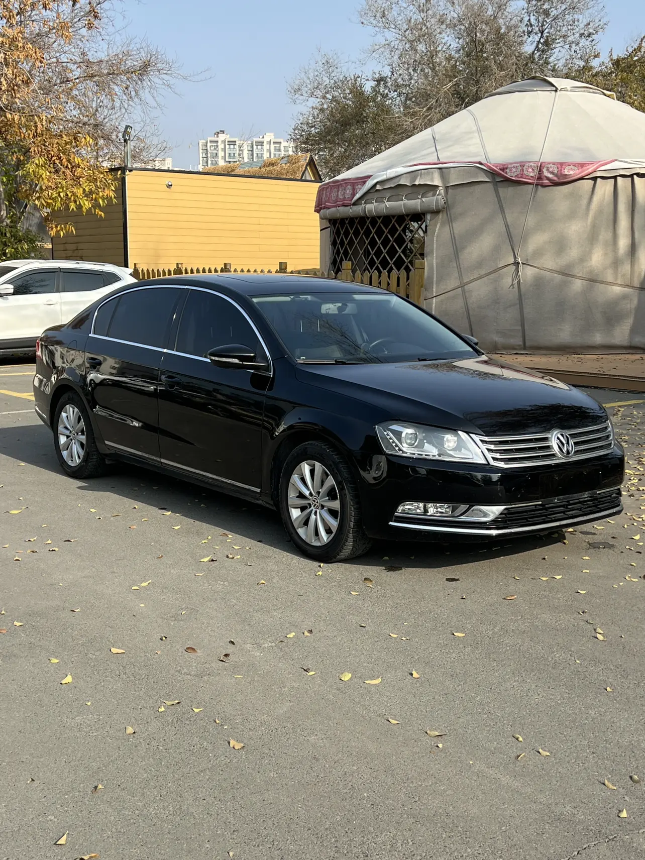 Volkswagen Magotan  из Китая