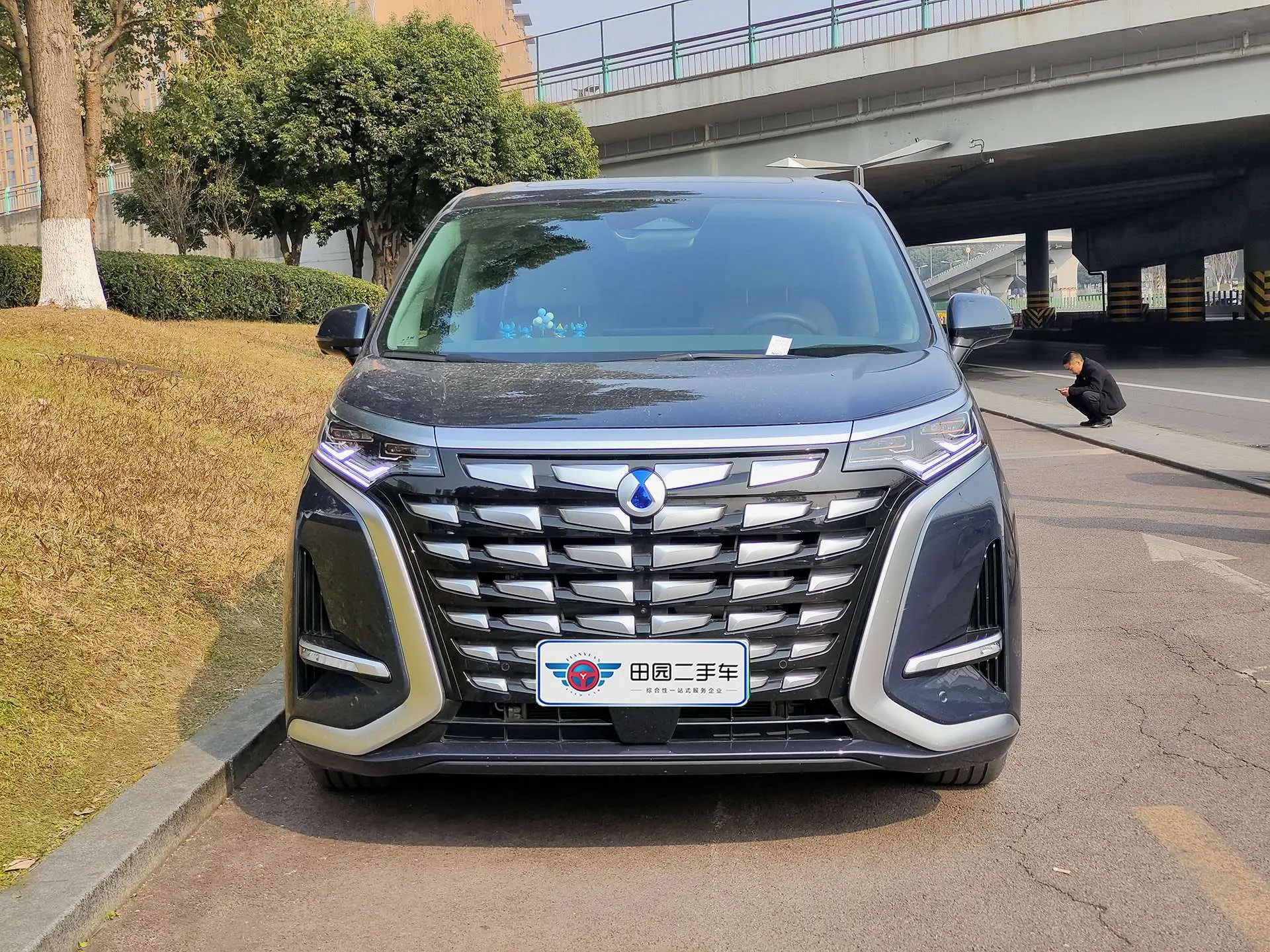 Denza D9 DM  из Китая