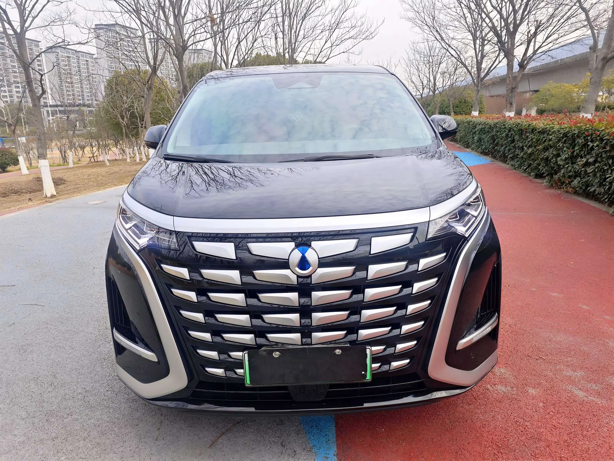 Denza D9 DM  из Китая