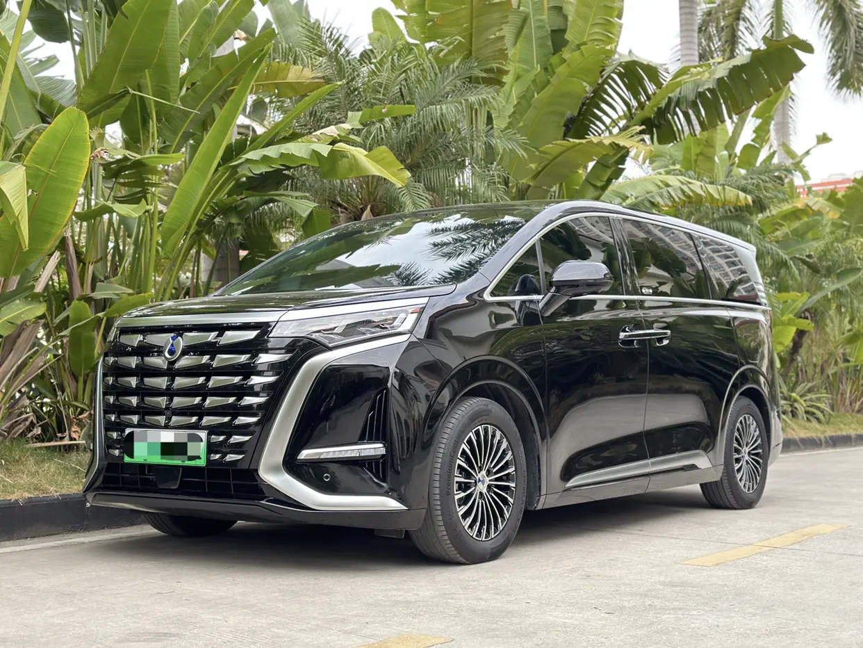 Denza D9 DM  из Китая