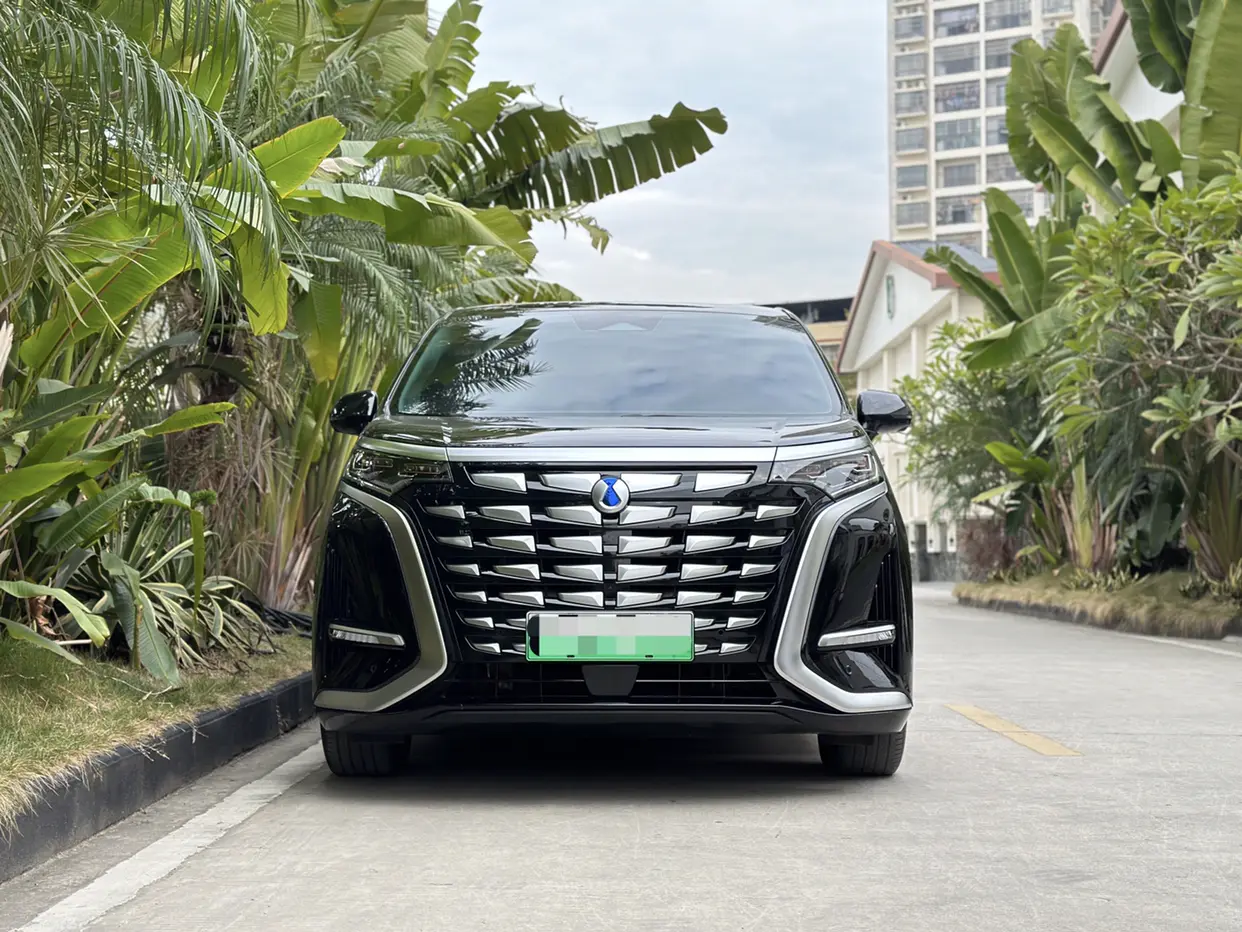 Denza D9 DM  из Китая