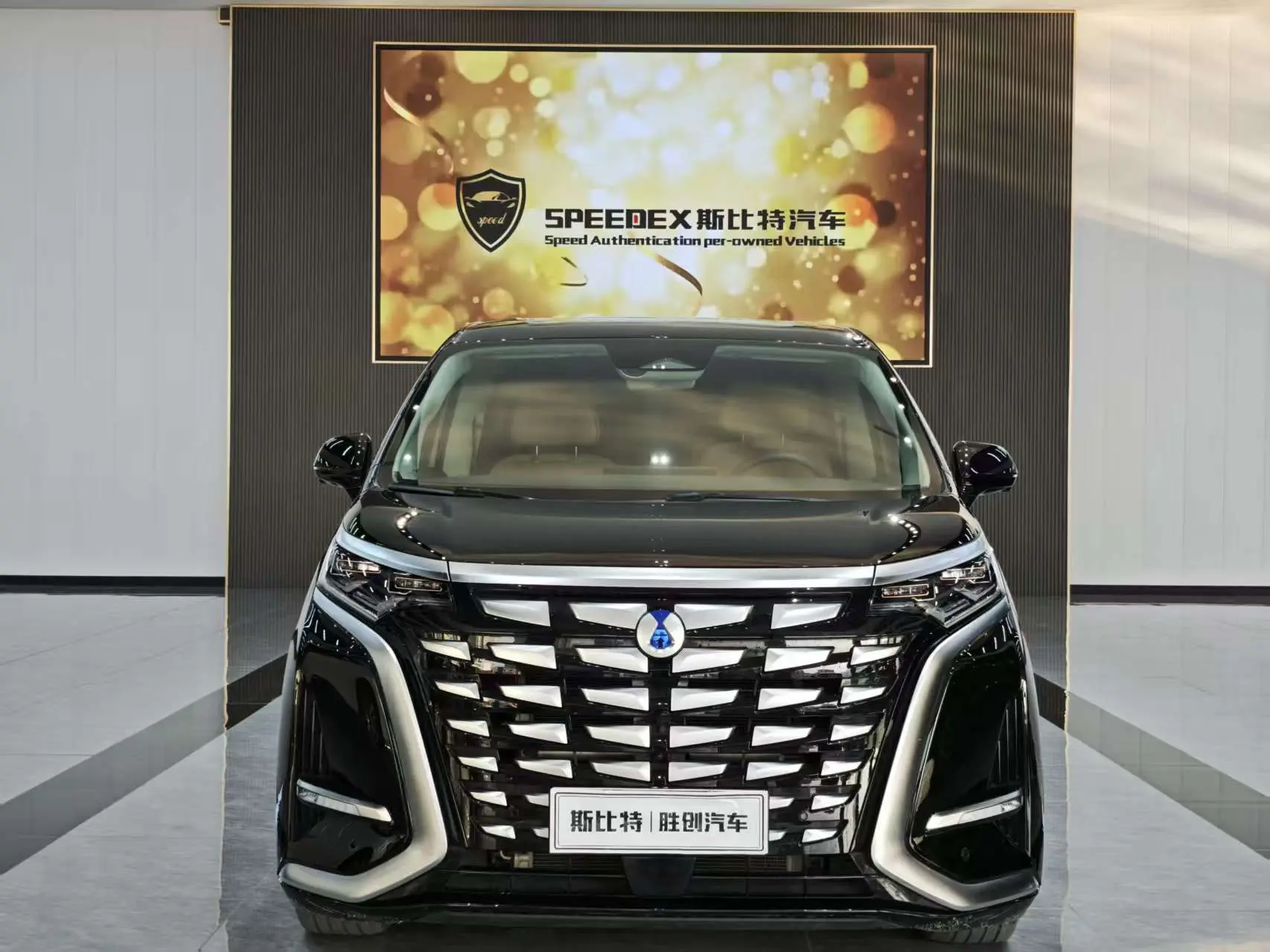 Denza D9 DM  из Китая