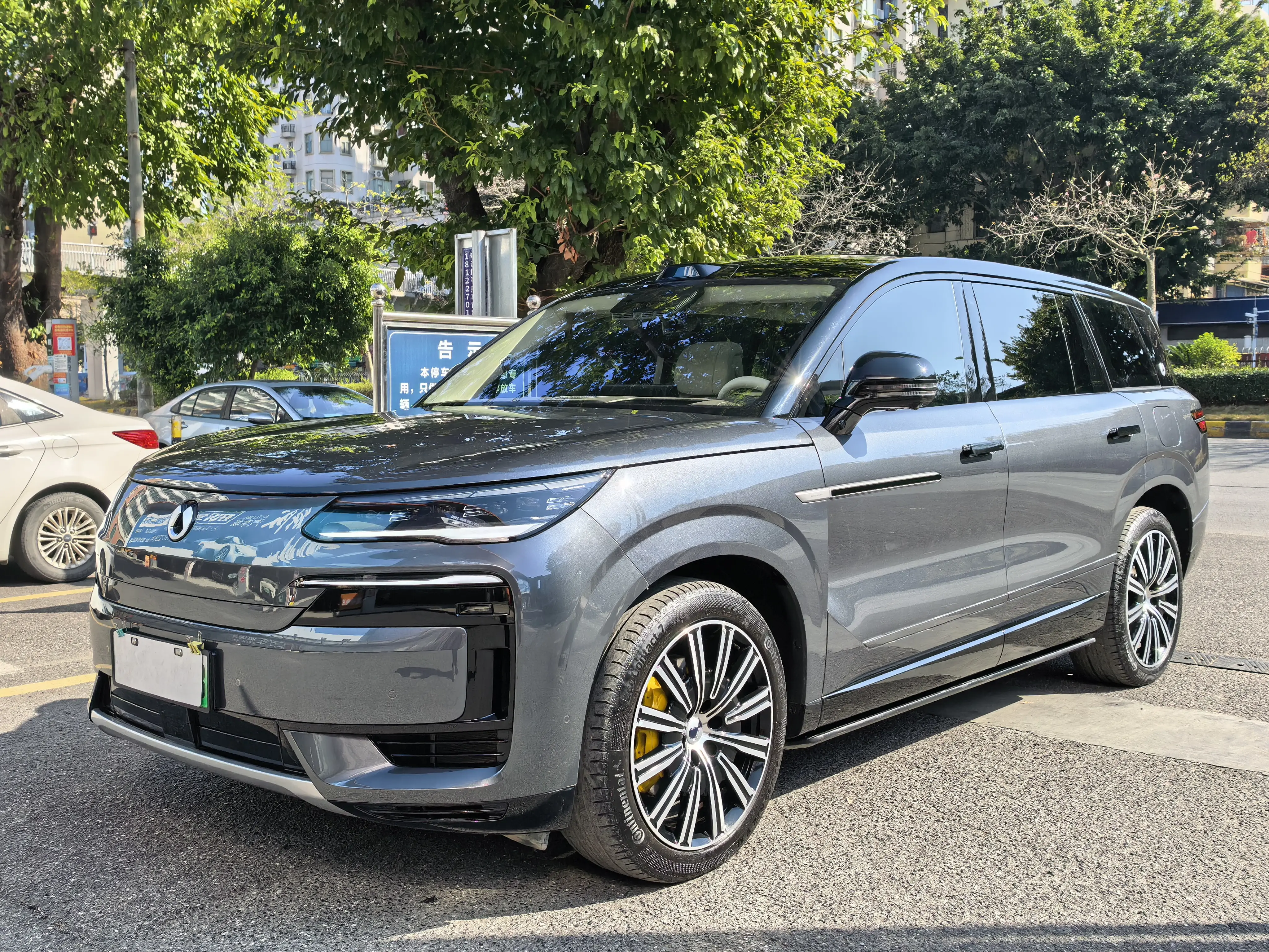 Denza Tengzhong N9 DM  из Китая