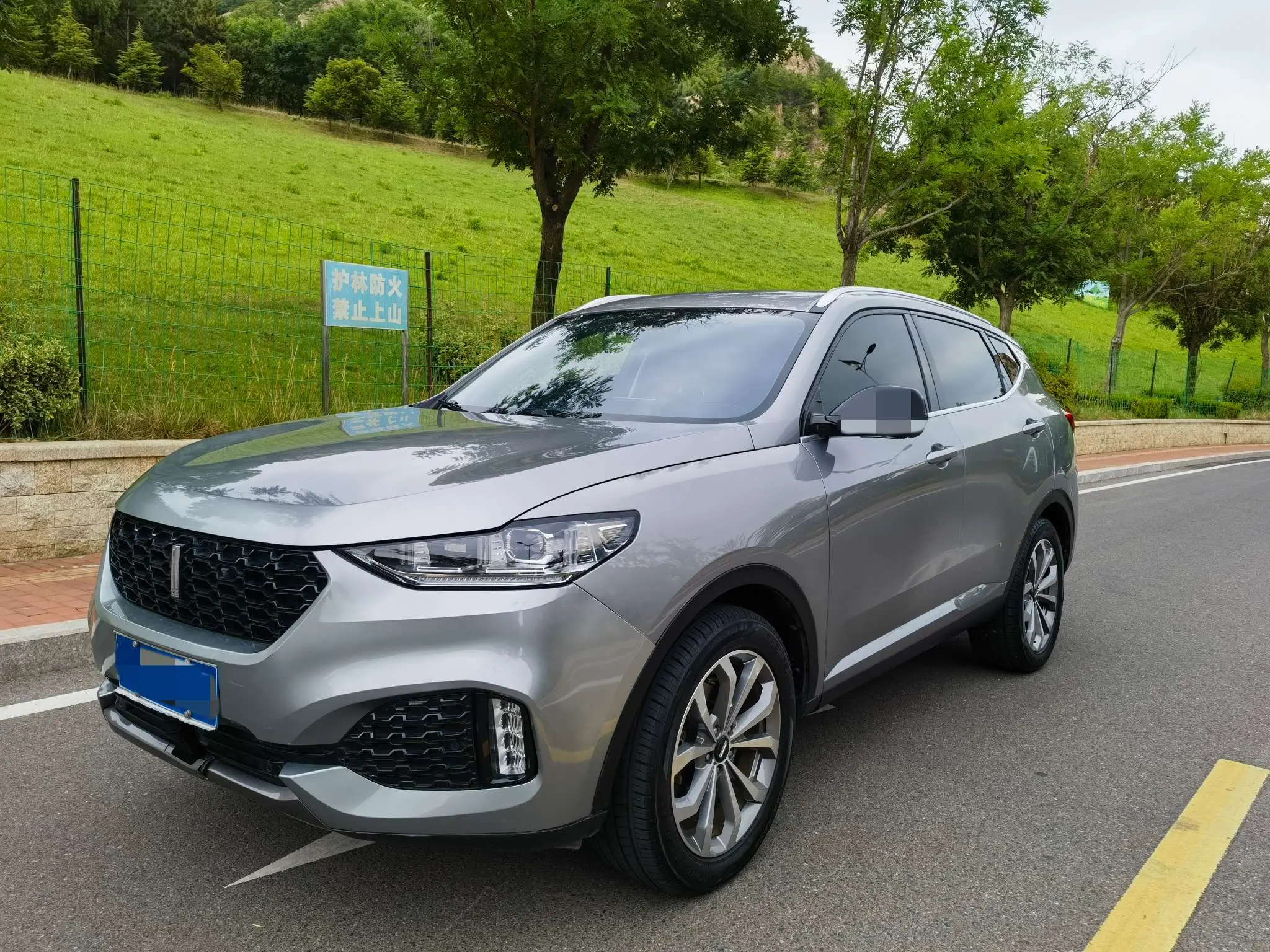 Wey Wei brand VV6  из Китая