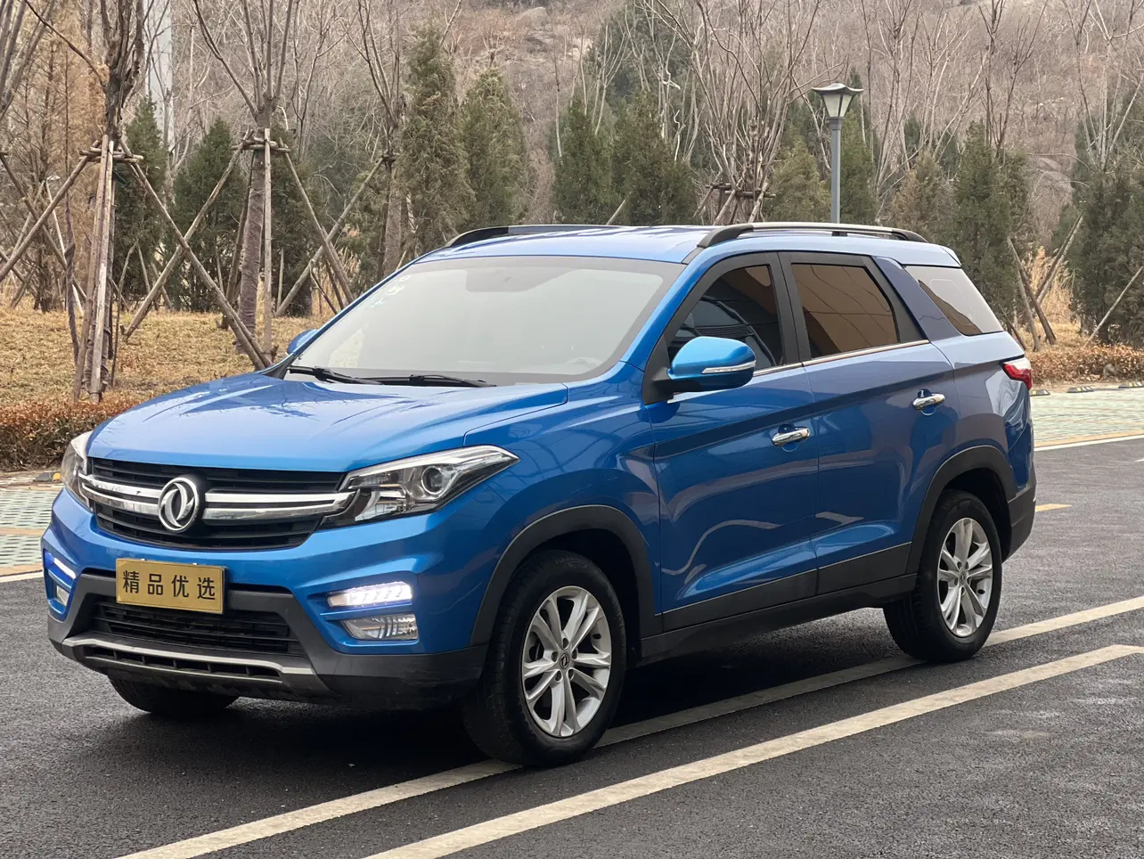 Dongfeng Scenery S560  из Китая