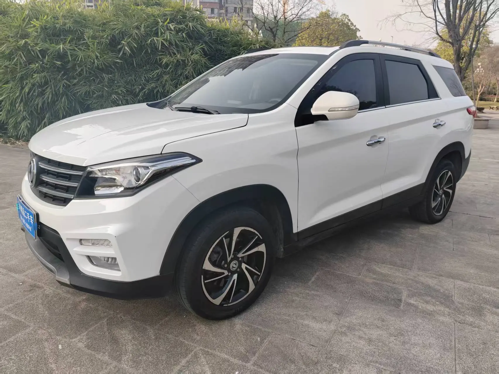 Dongfeng Scenery S560  из Китая