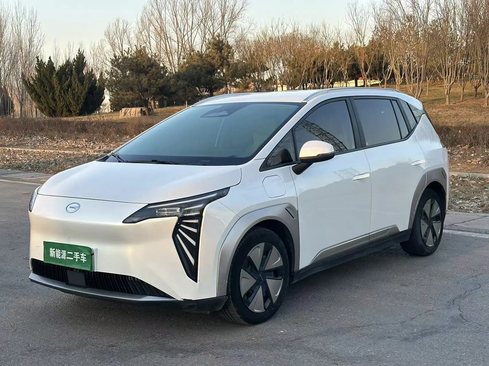 AION Y  из Китая