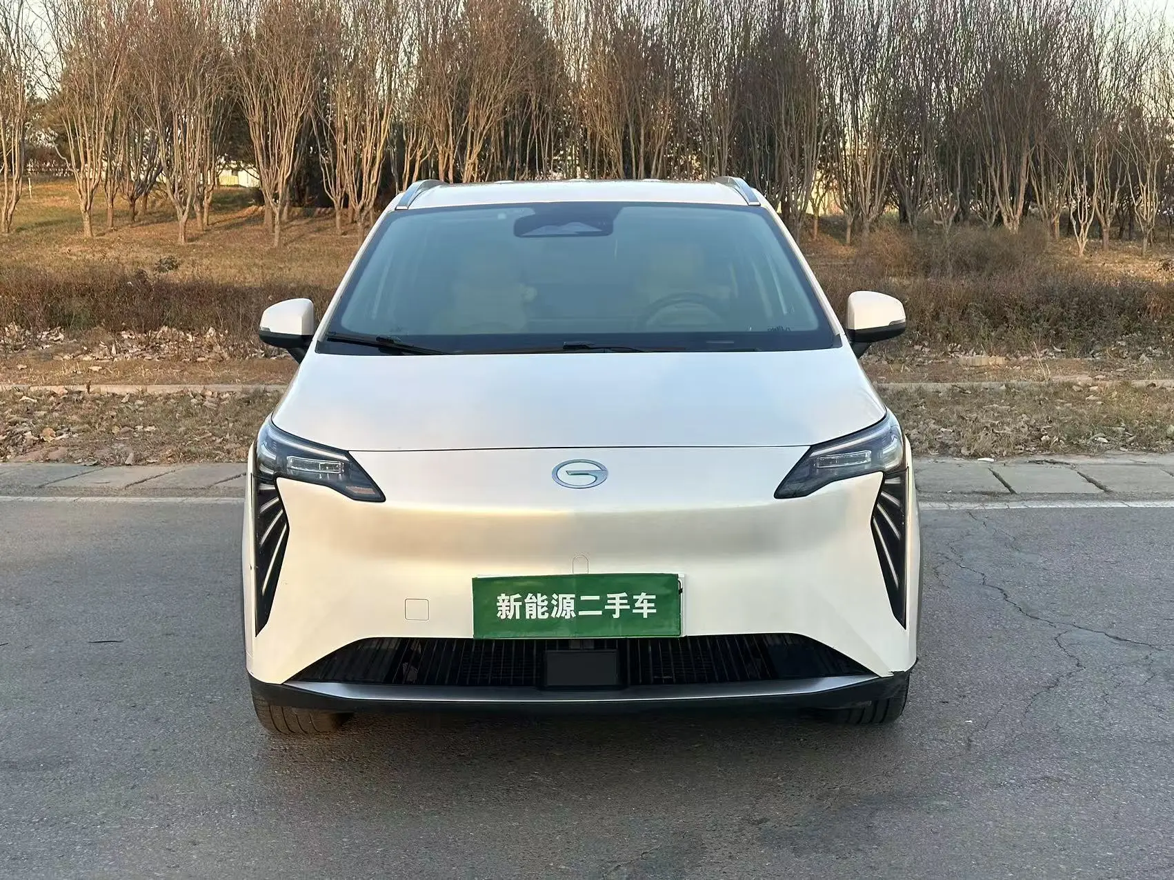 AION Y  из Китая