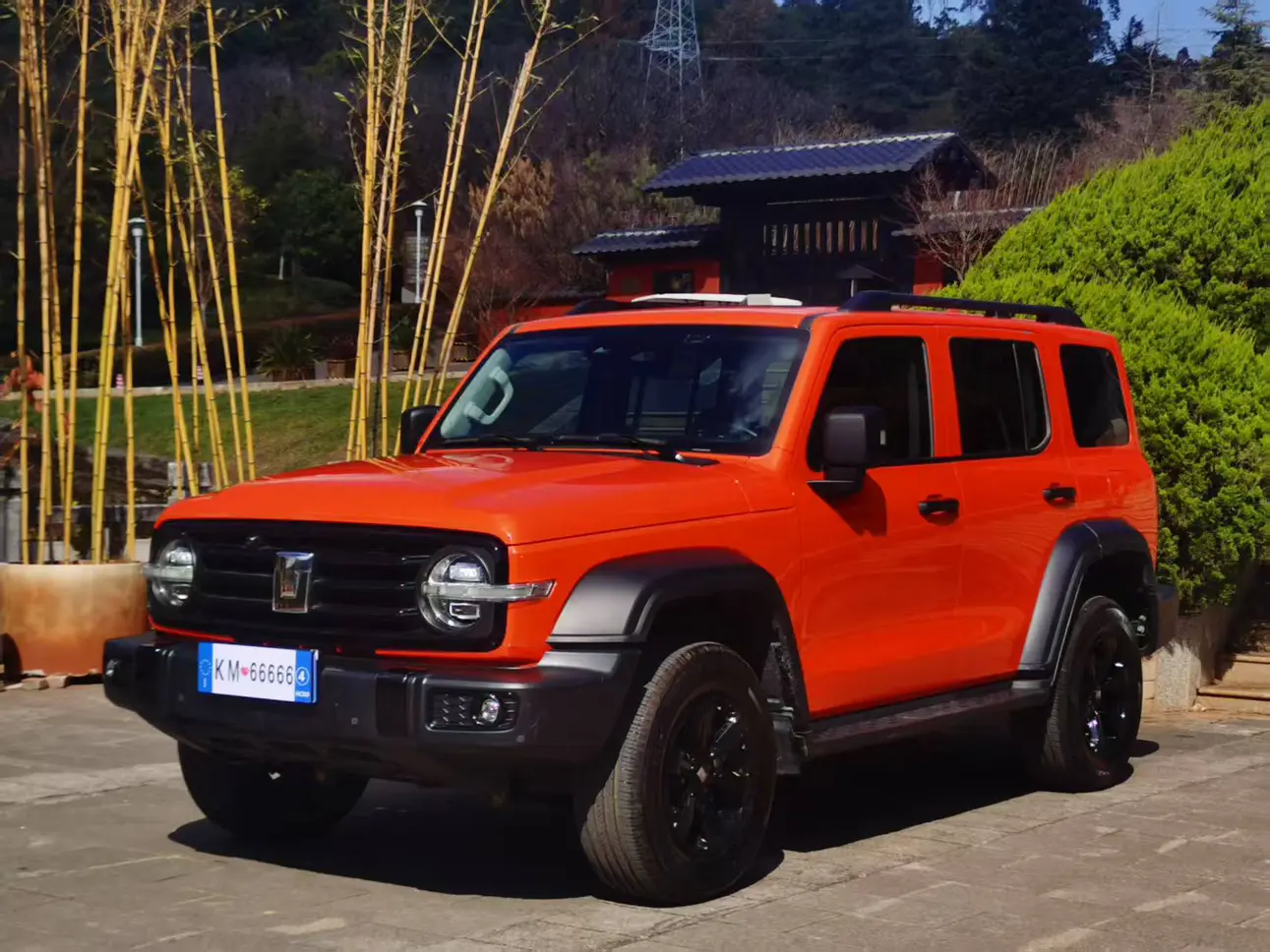 Tank 300  из Китая