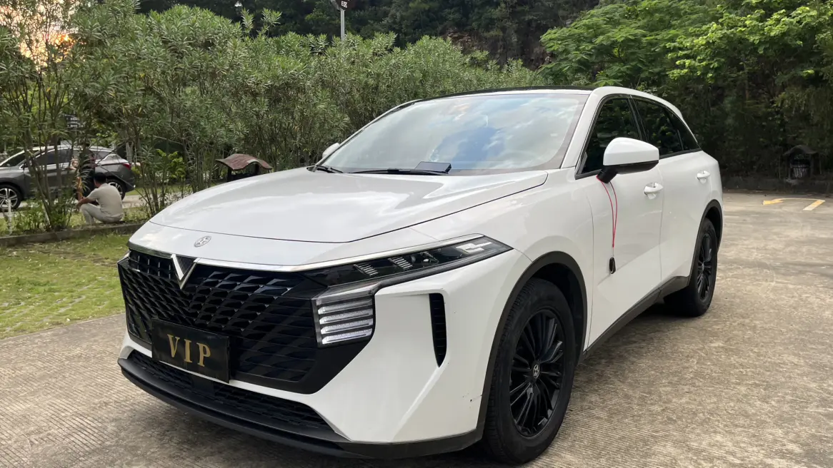 Kai Chen Venucia Big V  из Китая