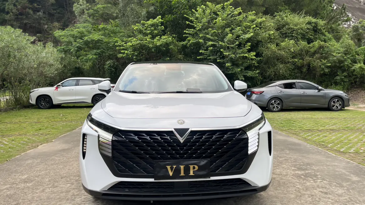 Kai Chen Venucia Big V  из Китая