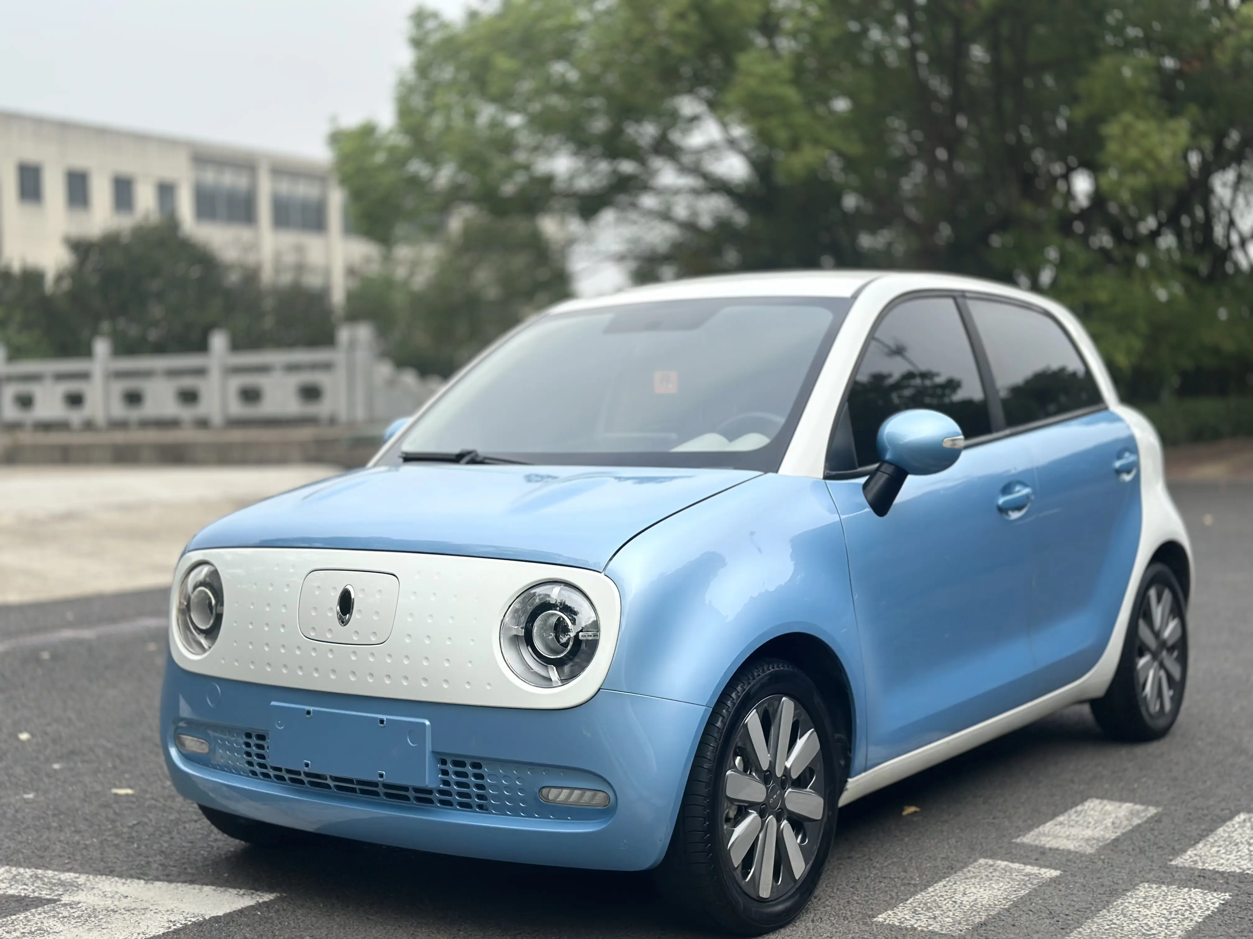 ORA Euler black cat  из Китая