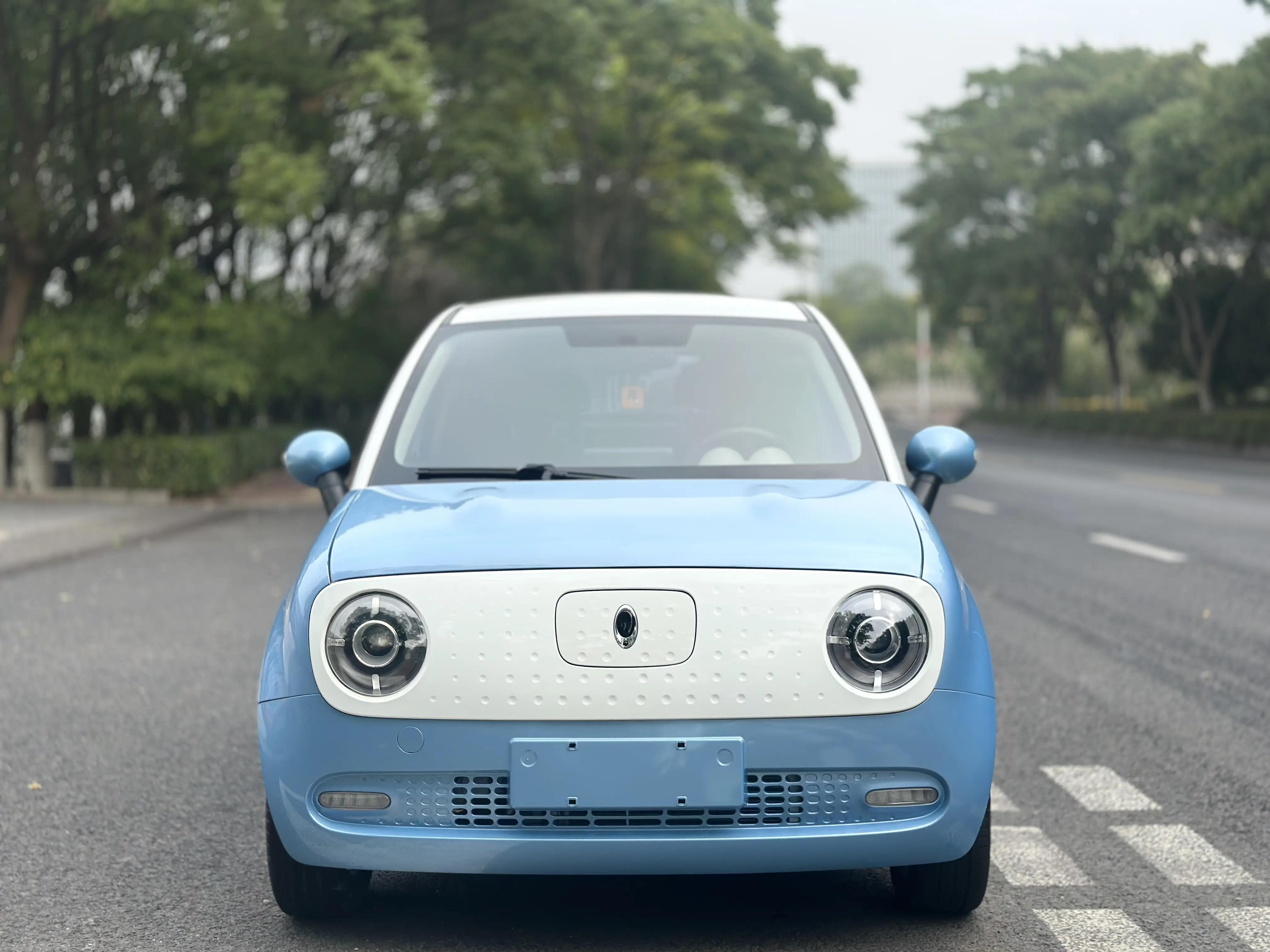 ORA Euler black cat  из Китая